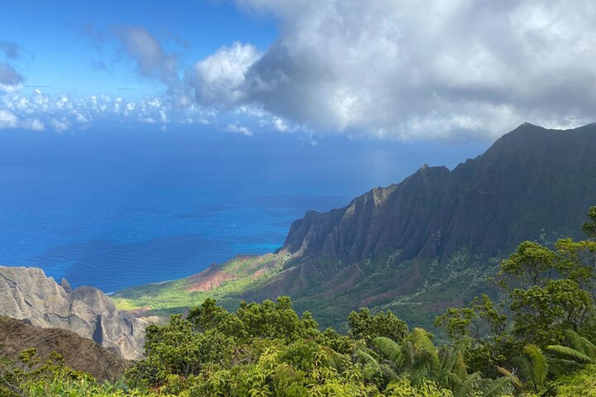 Kauai Waimea Canyon Private Guided Tour - Image 4