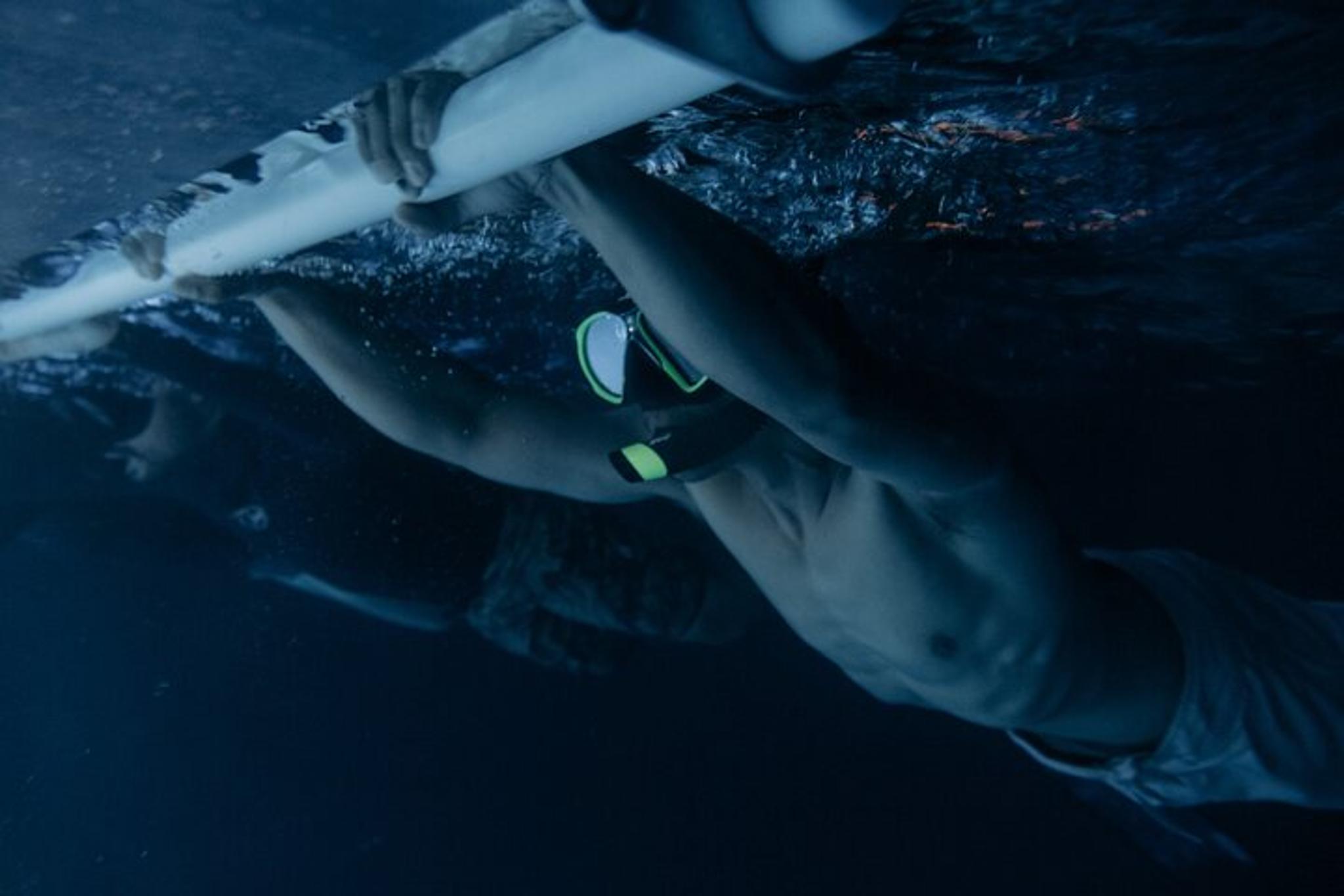 Kona Manta Ray Night Snorkel Adventure 2.5 hr - Image 2