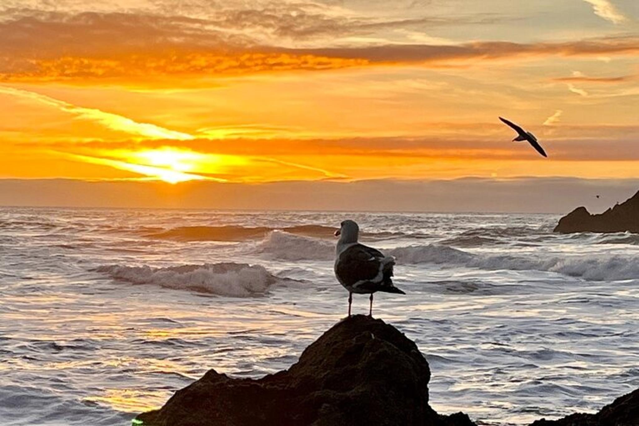 San Francisco Photo Adventure - Image 5