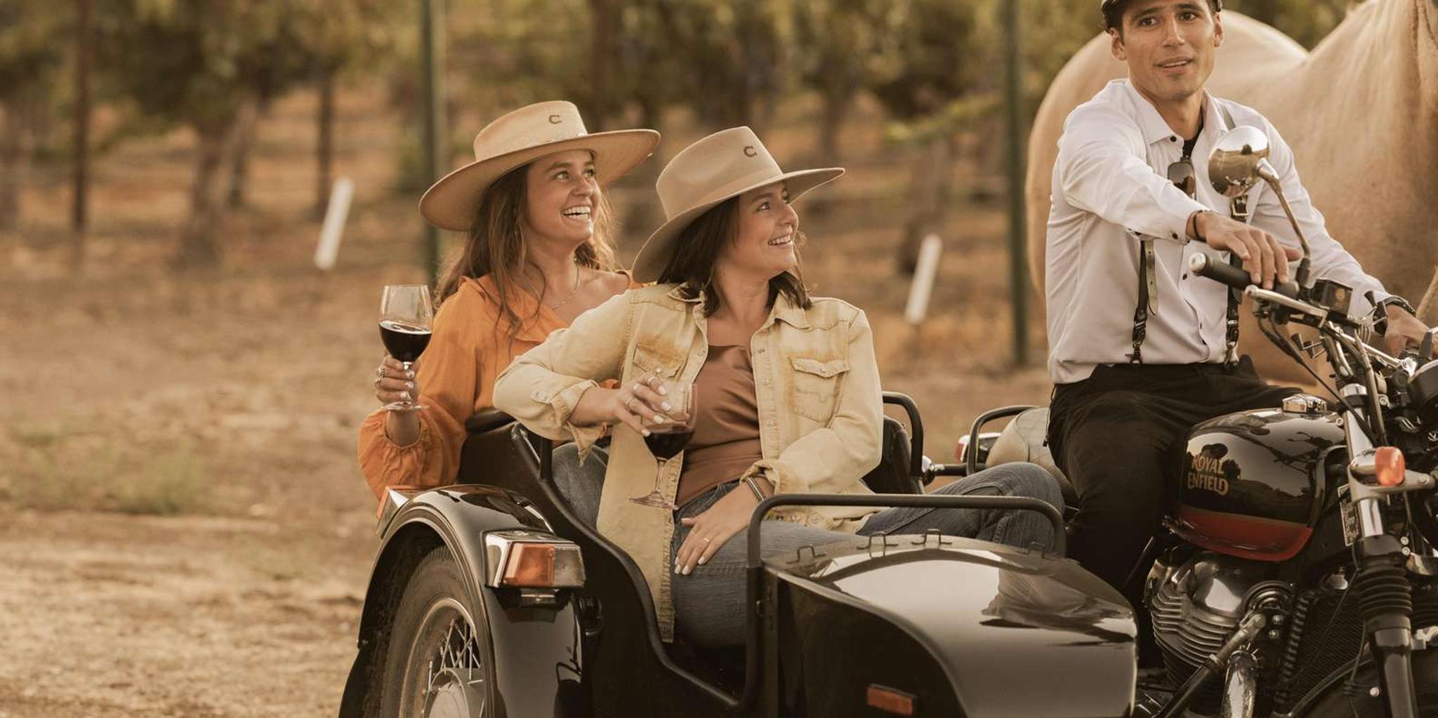 Paso Robles Scenic Sidecar Vineyard Tour - Image 3