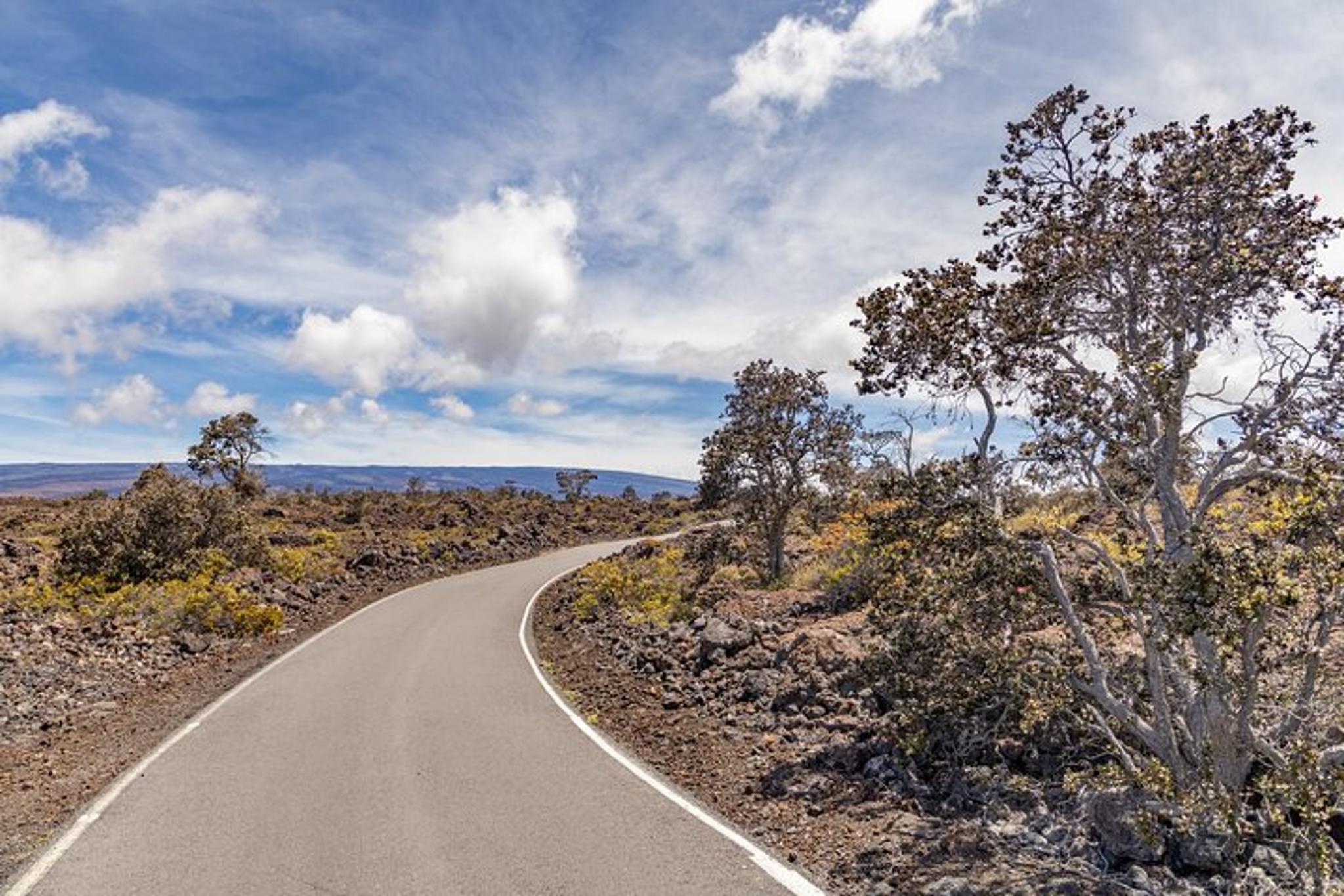 Big Island High Country Adventure - Image 6