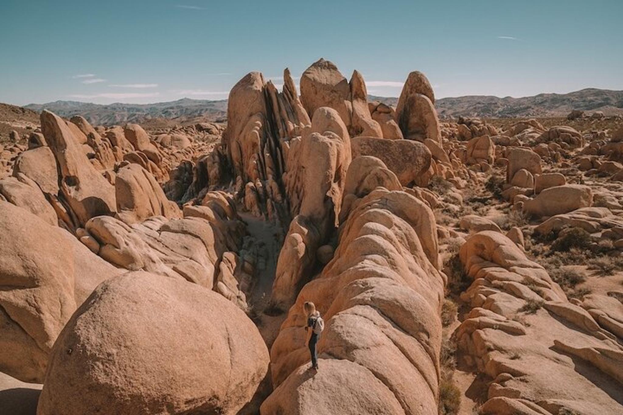 San Diego Joshua Tree National Park Day Trip - Image 2