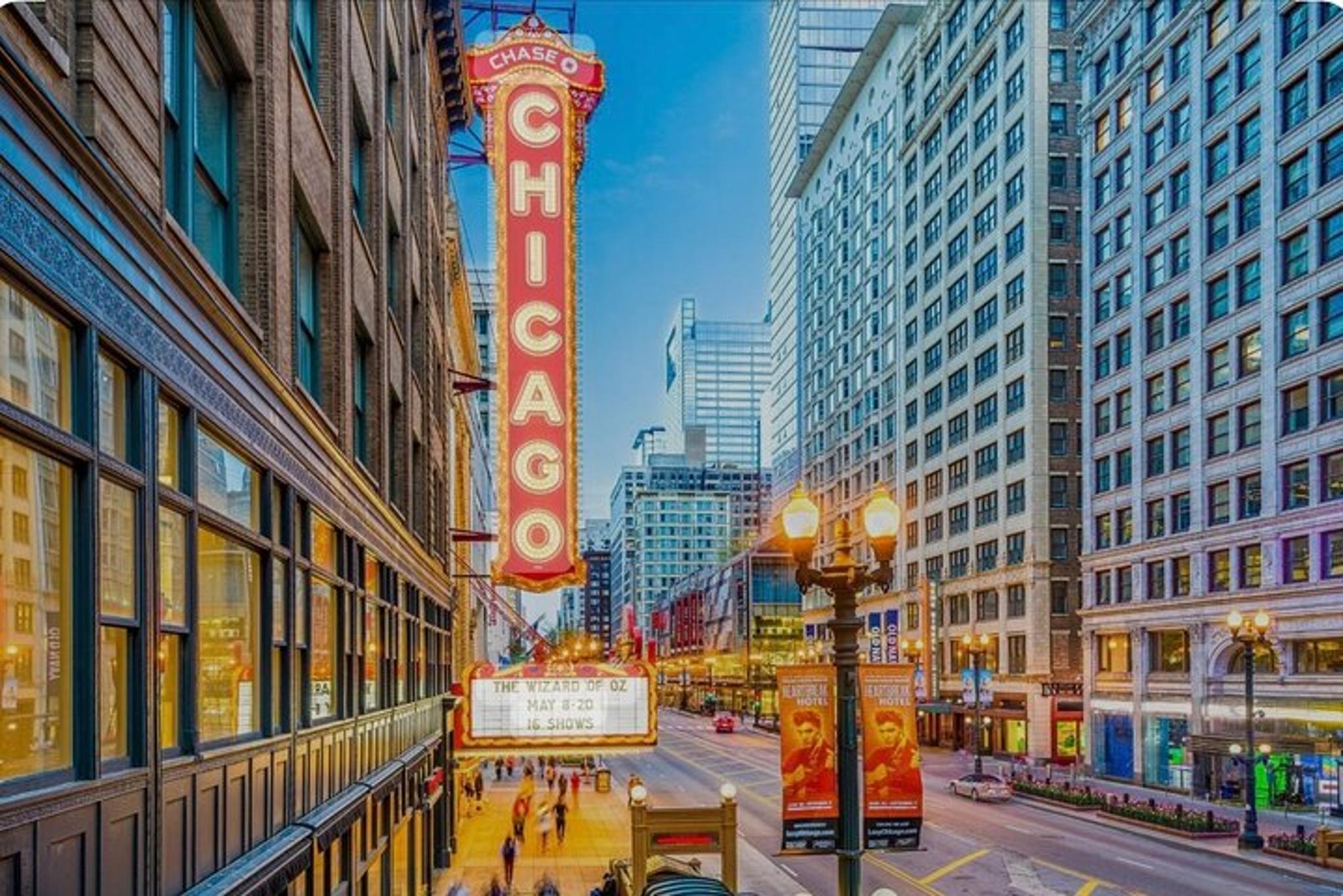 Chicago Private Tour - Image 3