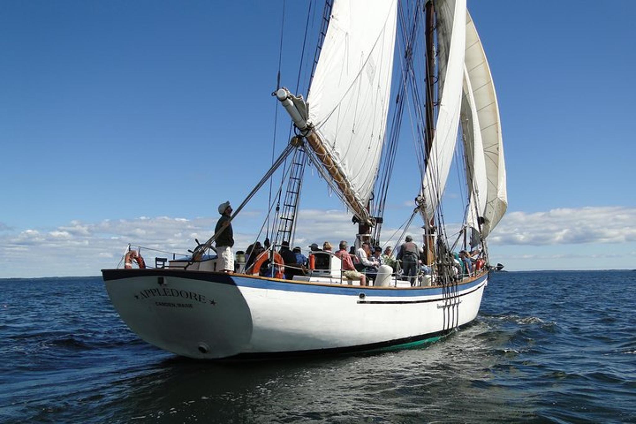 Camden Windjammer Day Sail - Image 4