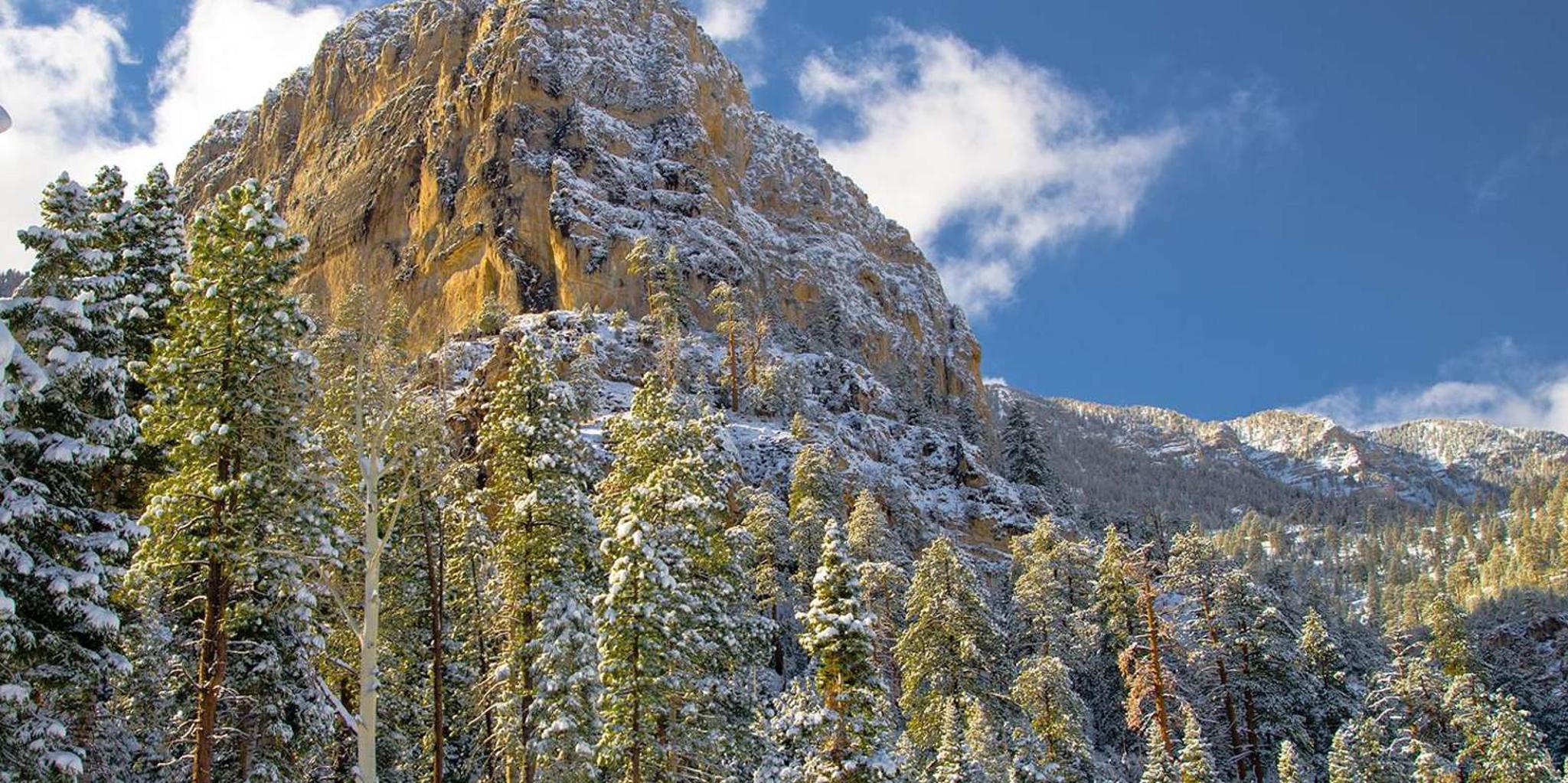 Las Vegas Mount Charleston Driving Adventure - Image 6