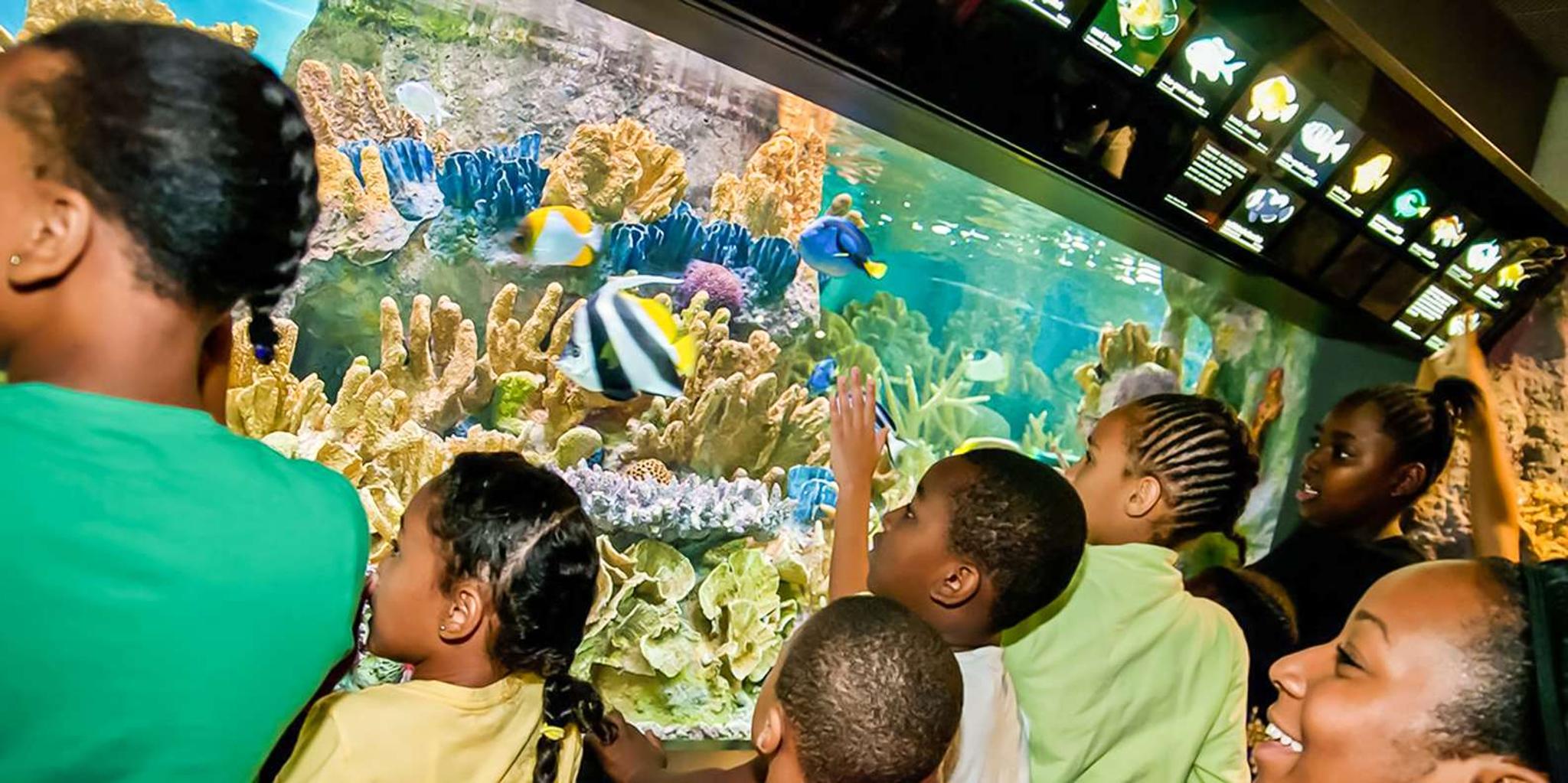 Boston New England Aquarium Tour 1 hr - Image 6