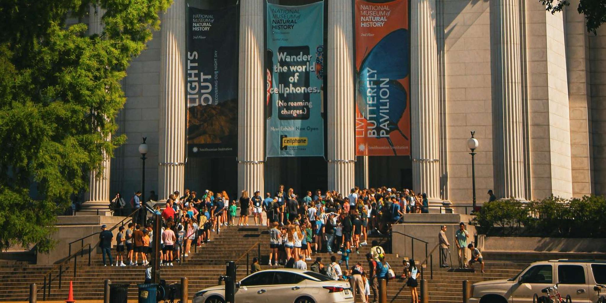 Washington D.C. and Mount Vernon Day Tour - Image 2