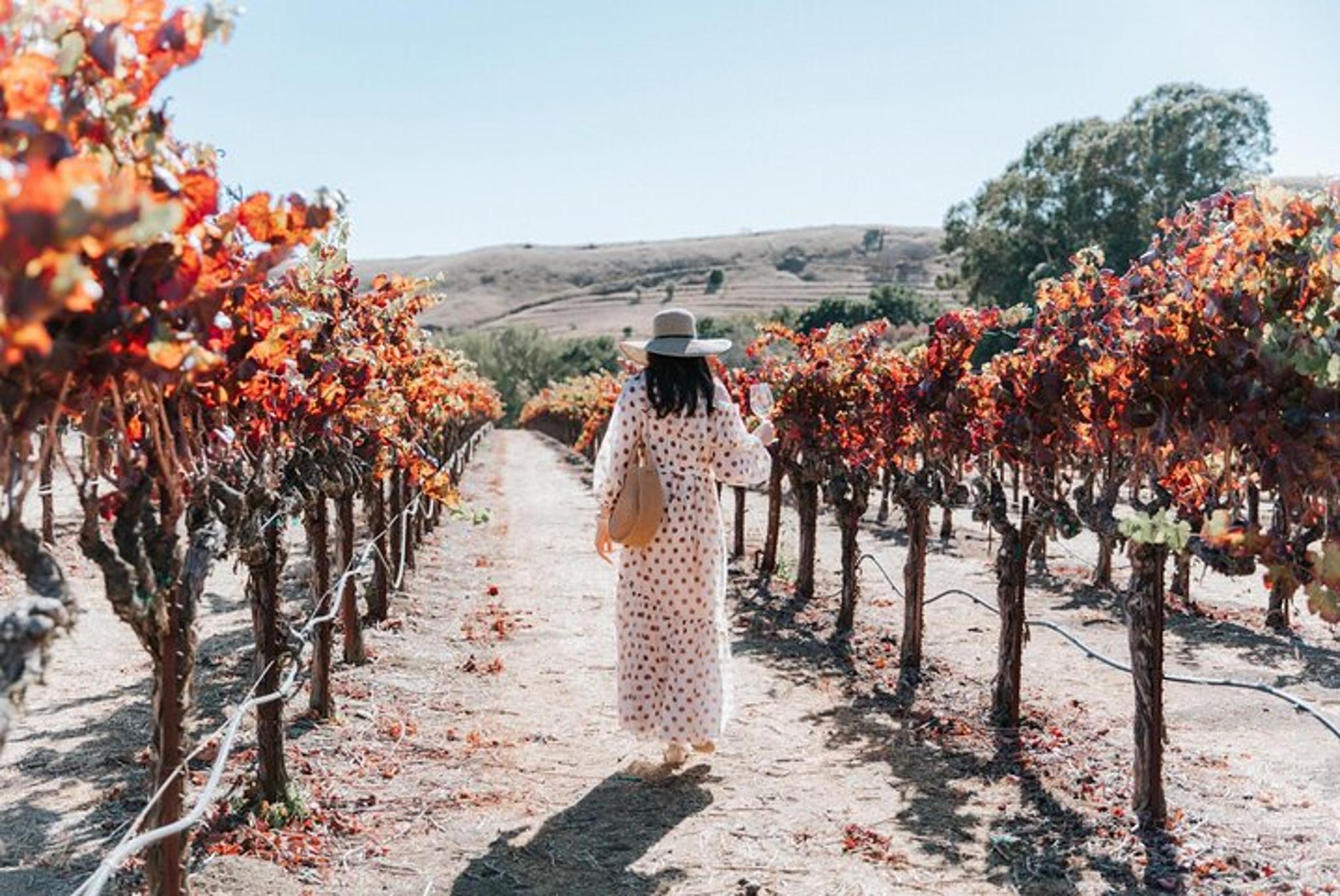 Napa Valley Private Wine Tour - Image 3