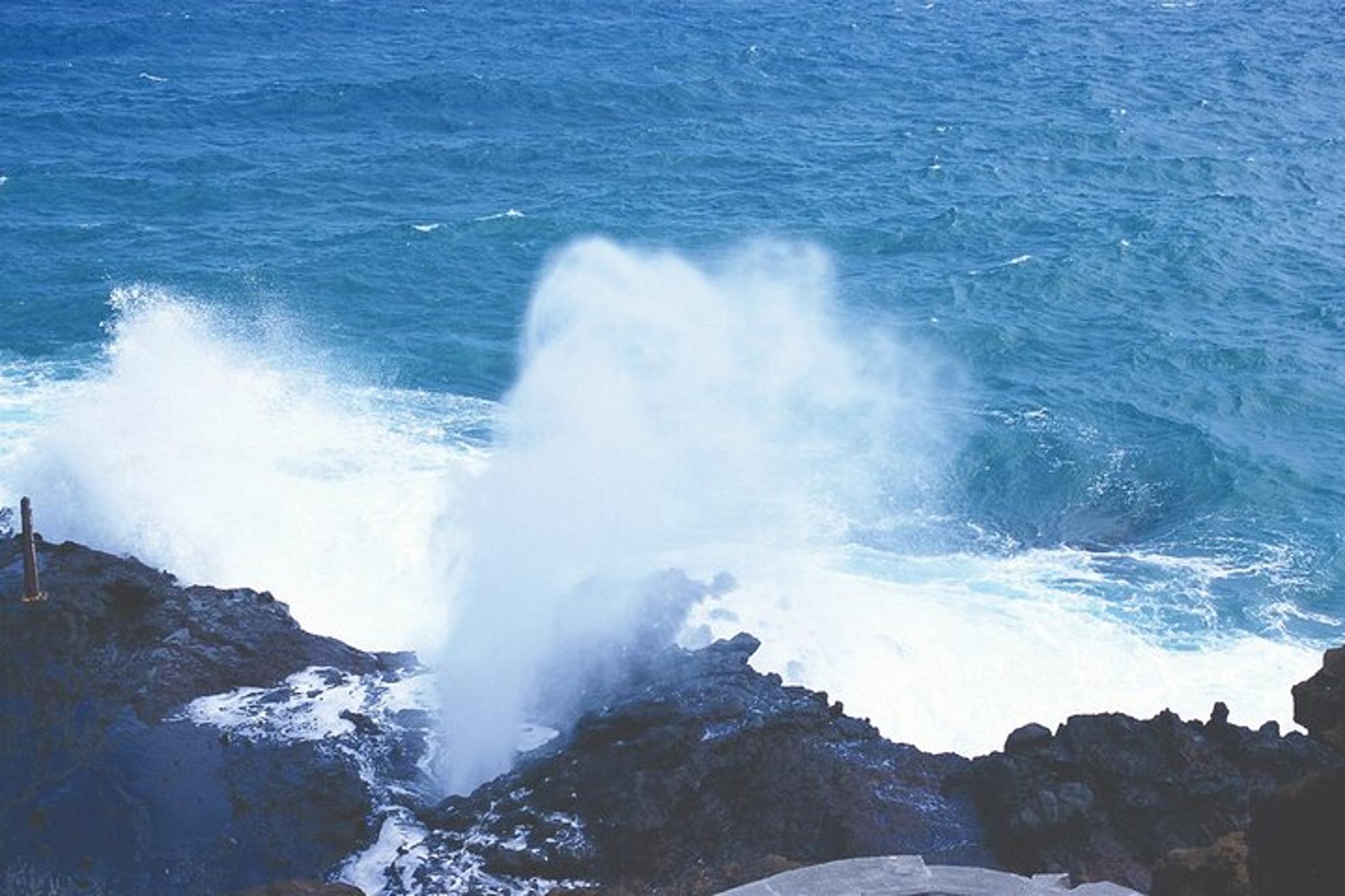 Oahu Grand Circle Island Tour - Image 3