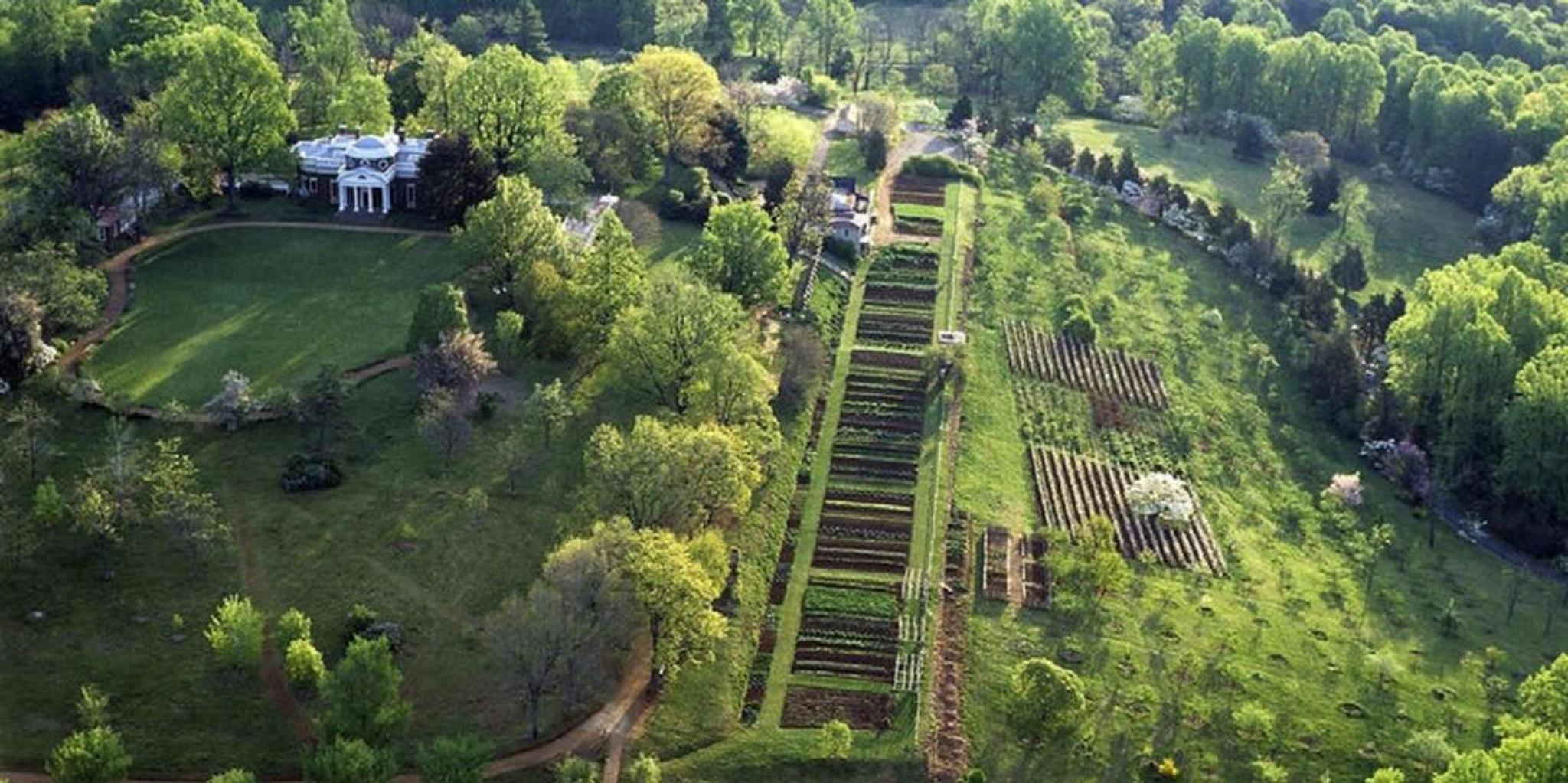 Washington DC Thomas Jefferson Monticello Tour - Image 6