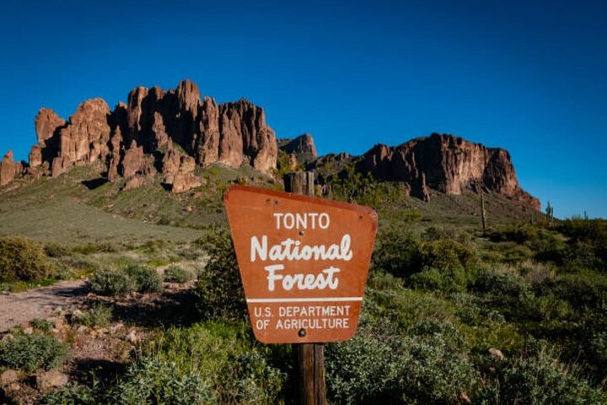 Phoenix Offroad Sonoran Desert Sunset Tour - Image 1
