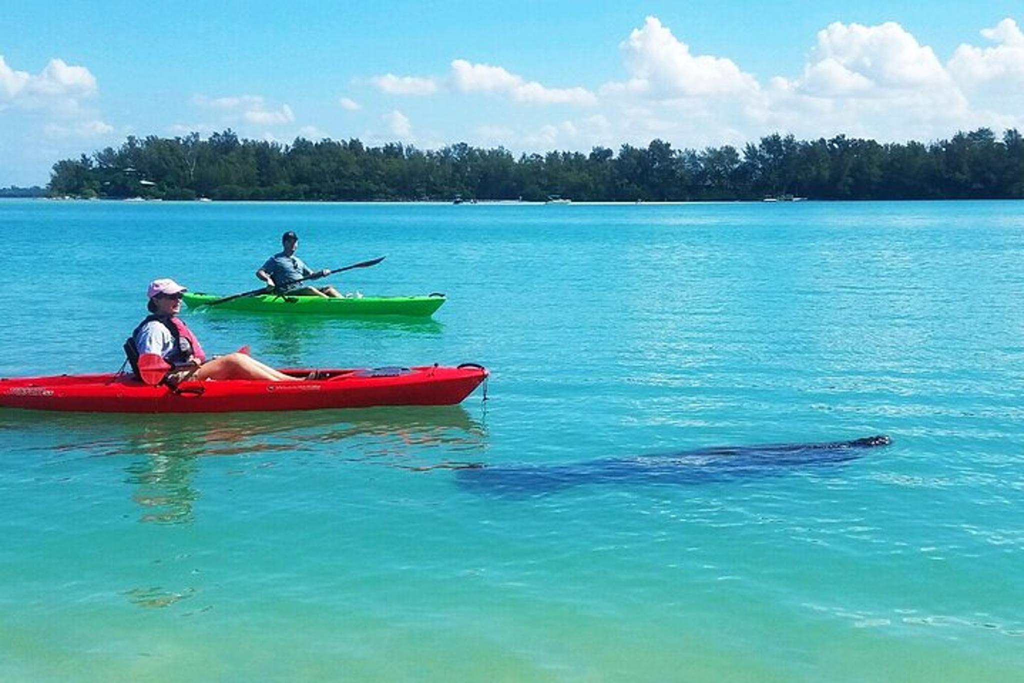 Sarasota Bay Kayaking with Coastal Wildlife