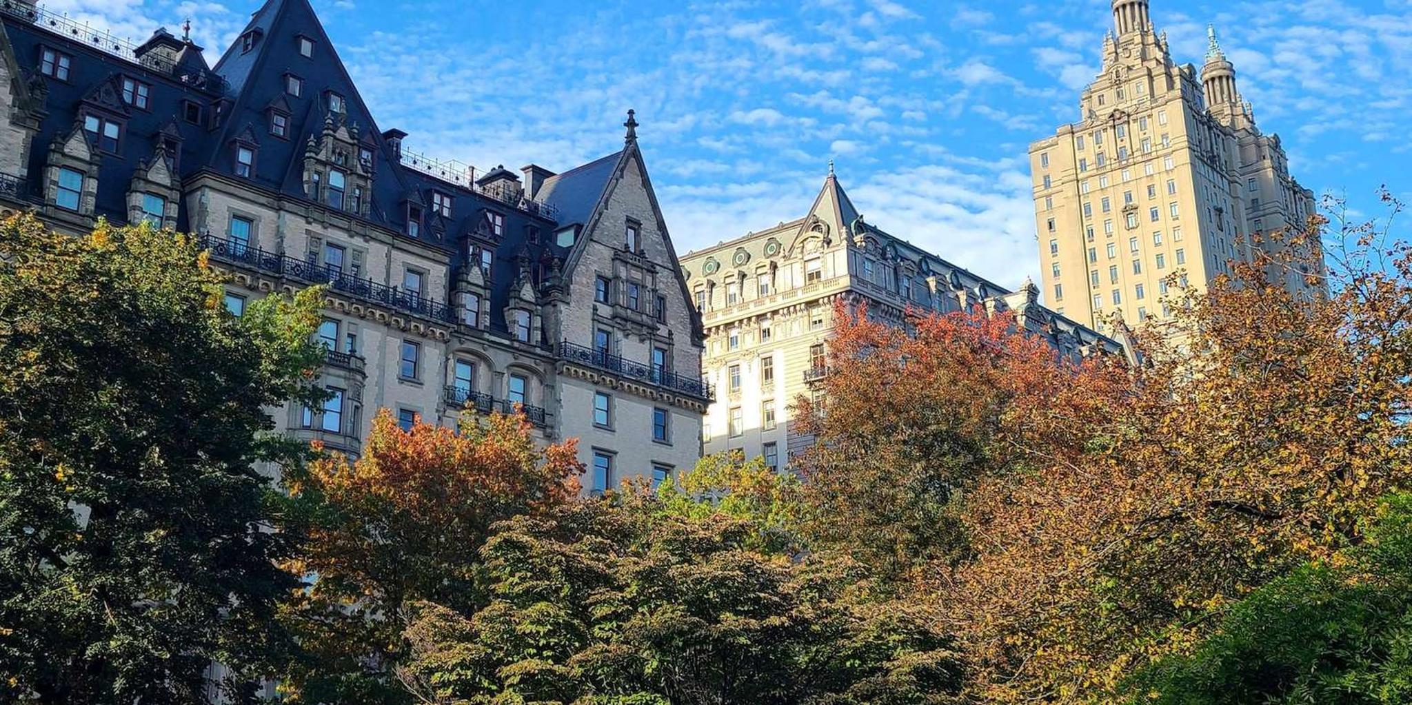 New York City Bike Rental and Central Park Picnic - Image 2