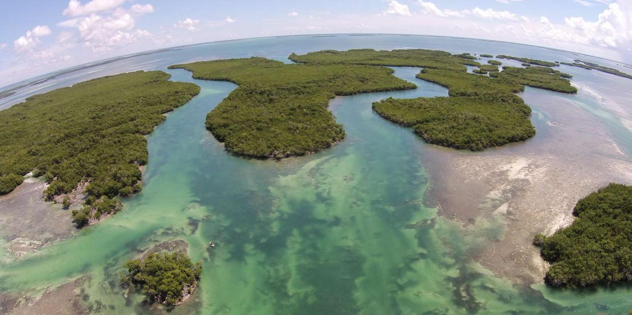 Key West Helicopter Eco Tour - Image 1