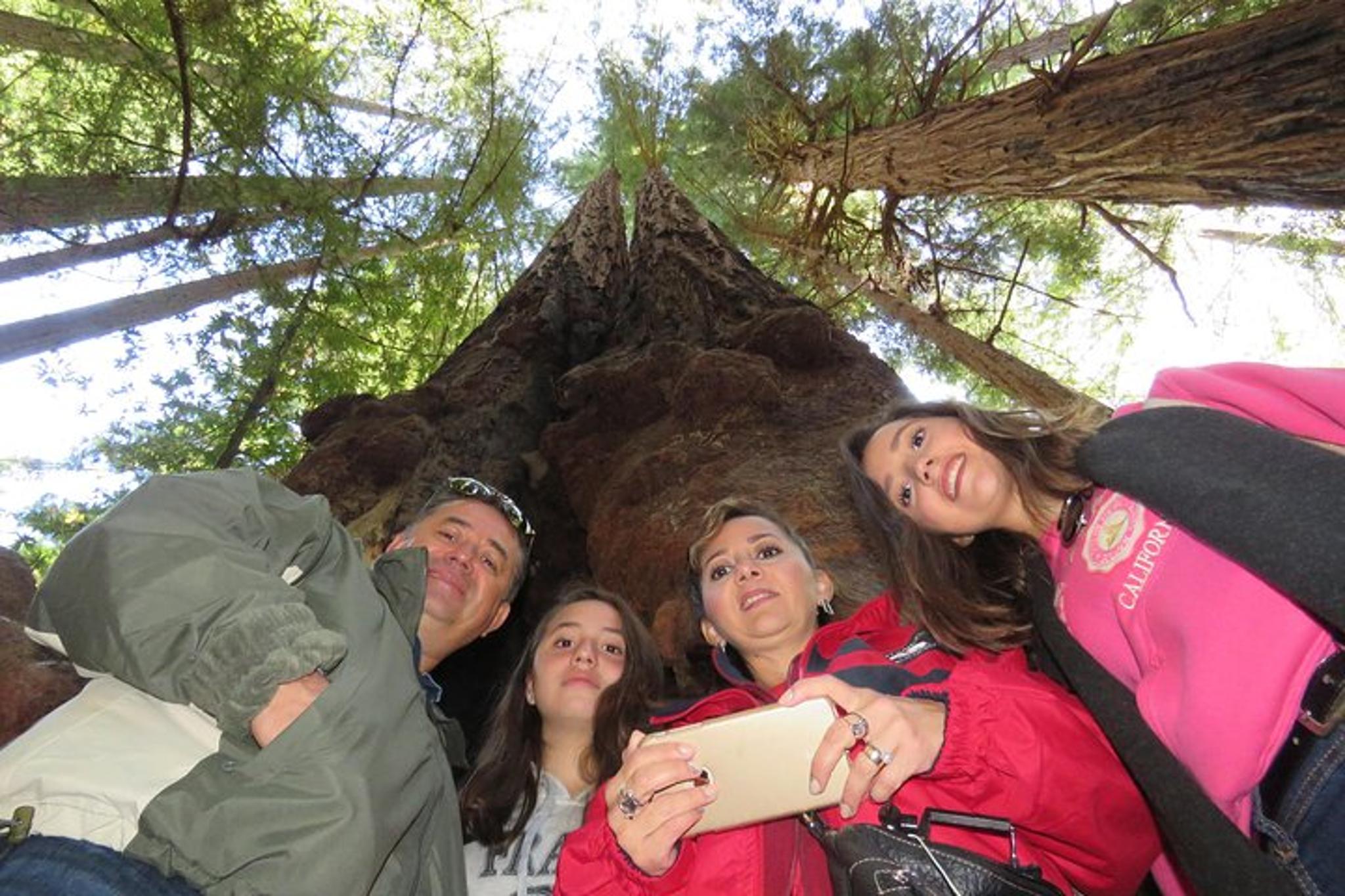 San Francisco Muir Woods & Sausalito Private Tour - Image 3