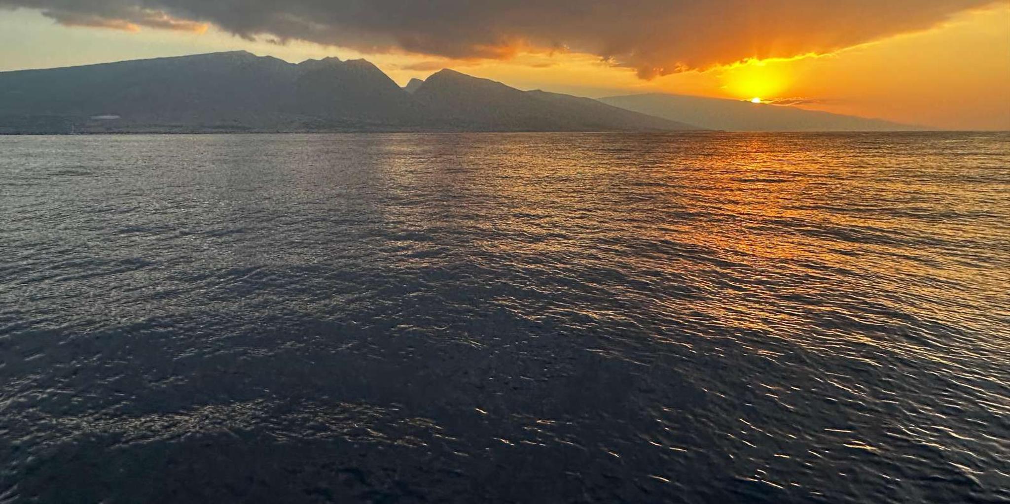 Lahaina Whale Watching Tour at Sunrise - Image 6