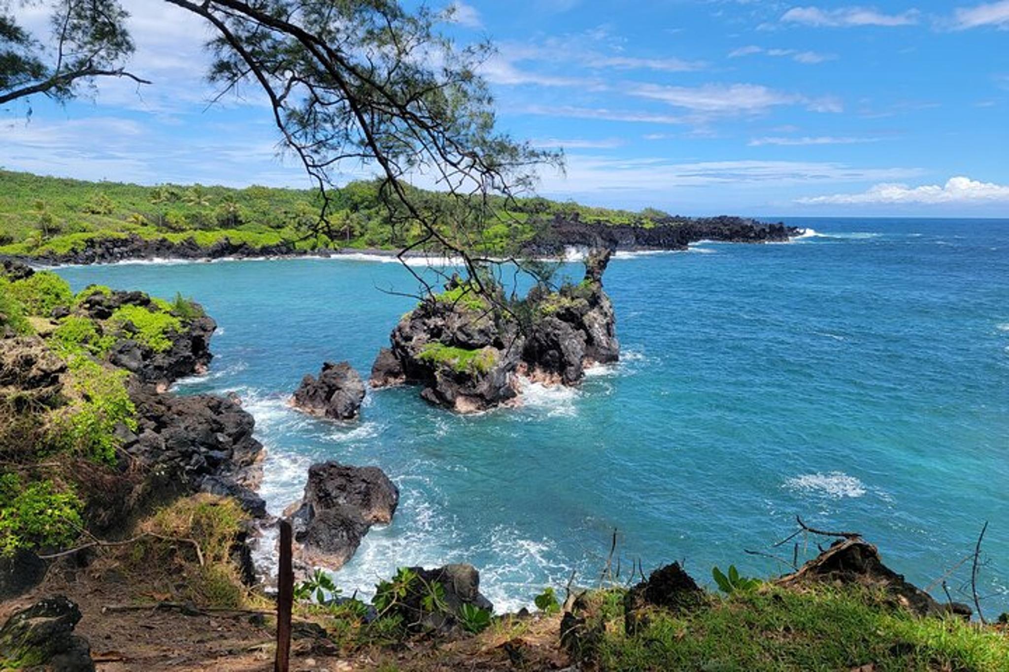 Maui Road to Hana Rainforest Tour with Lunch - Image 3