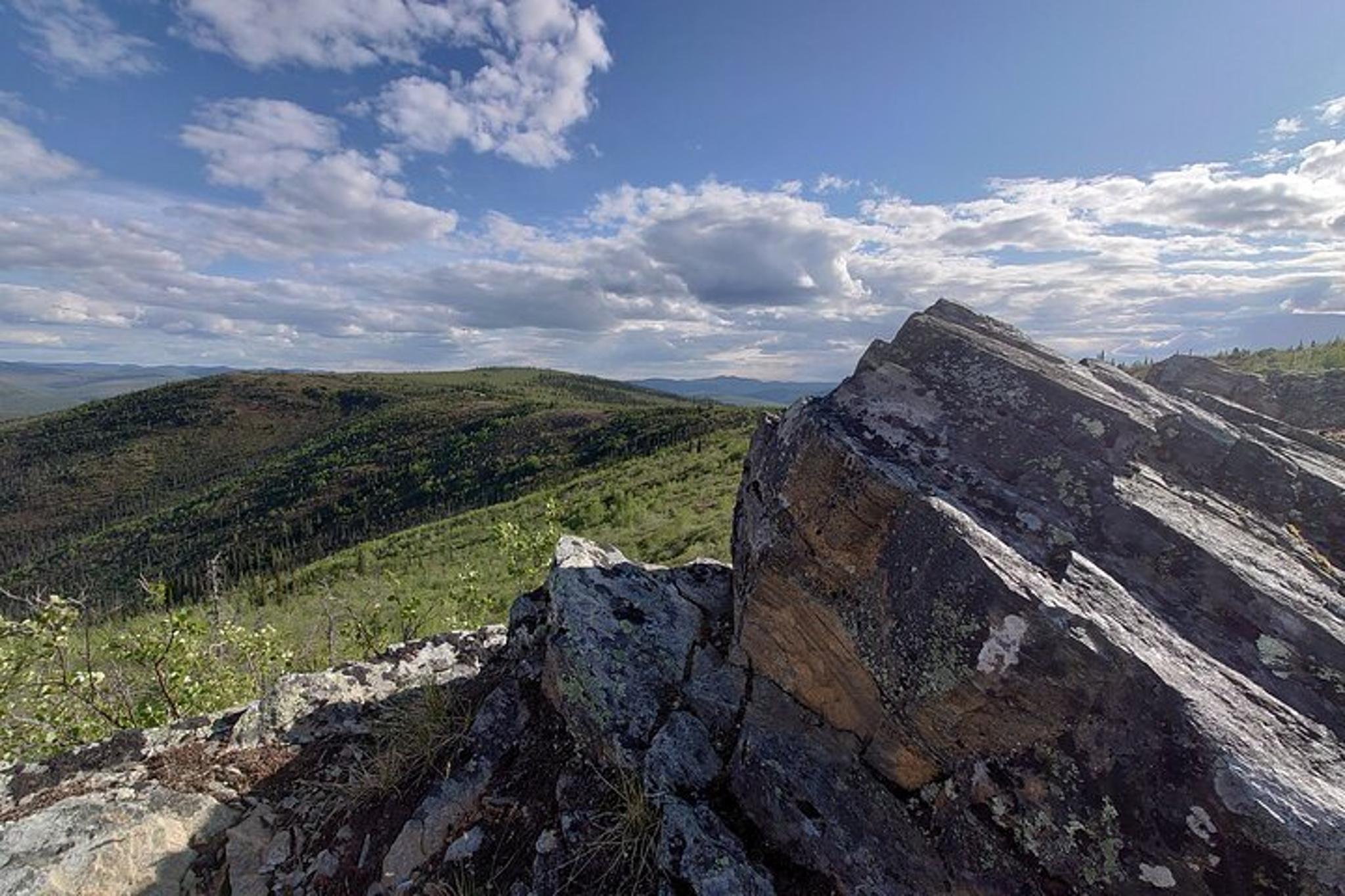 Alaska Scenic View Tour - Image 4