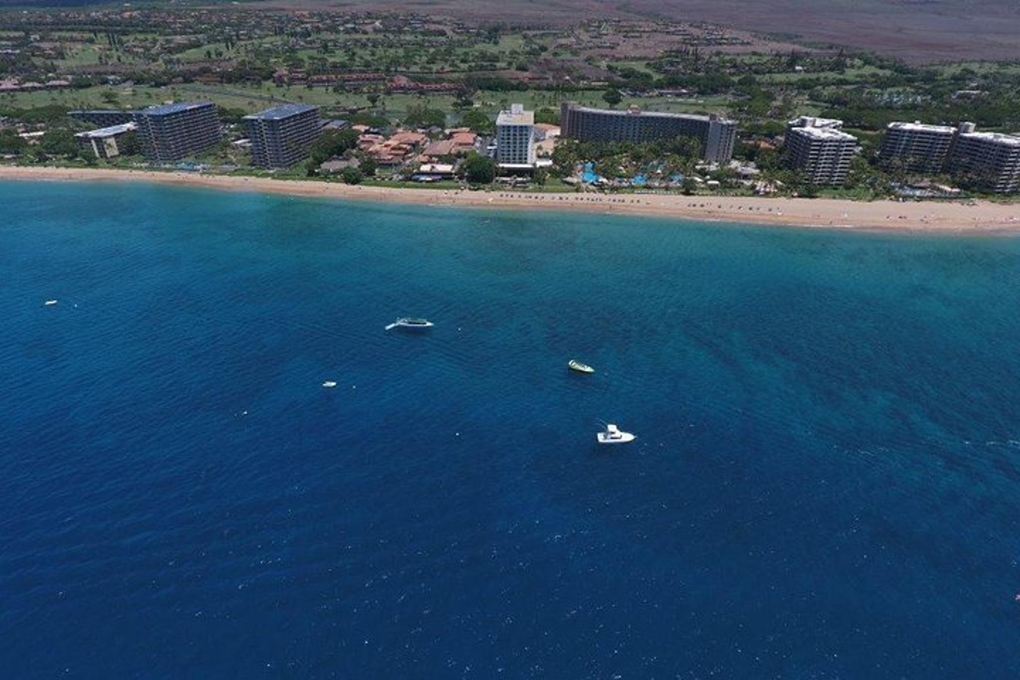 Kaanapali Snorkeling Tour with Sea Scooters 4 hr - Image 4