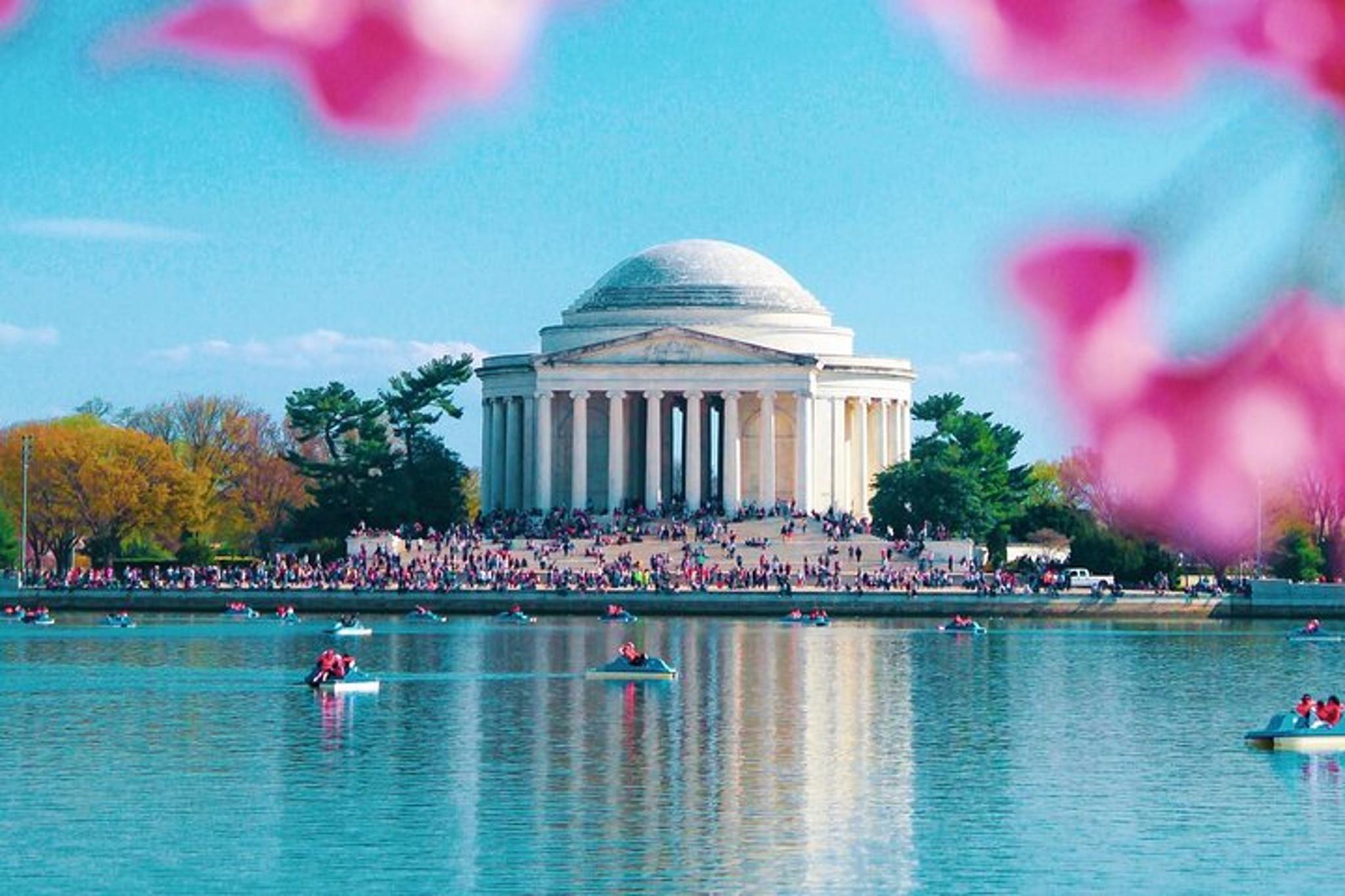 Washington DC Cherry Blossom Bus Tour - Image 6