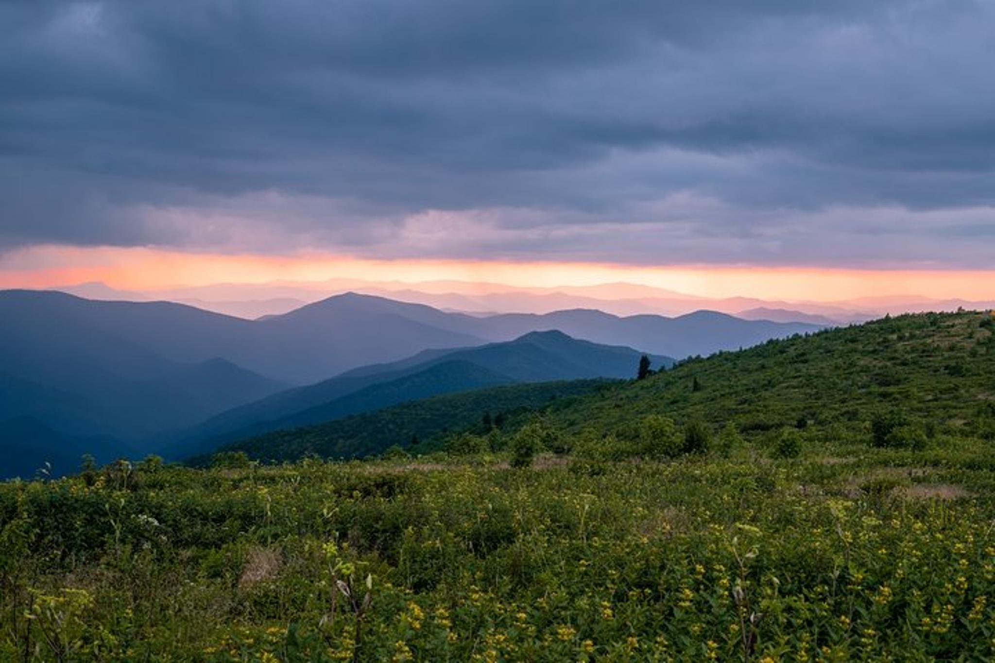 Asheville Hike with Long Range Views - Image 3