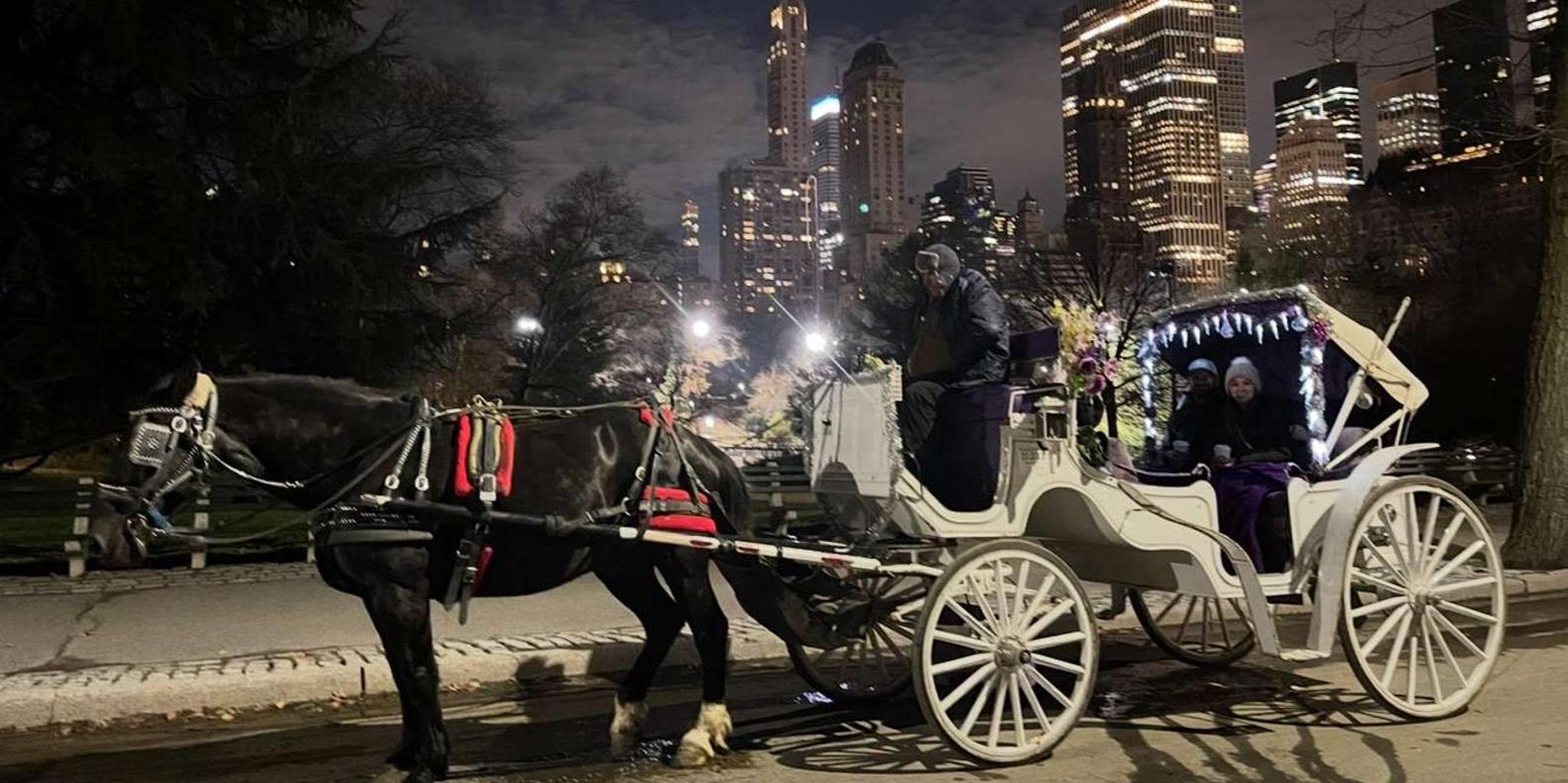 New York Central Park Horse and Carriage Ride - Image 4