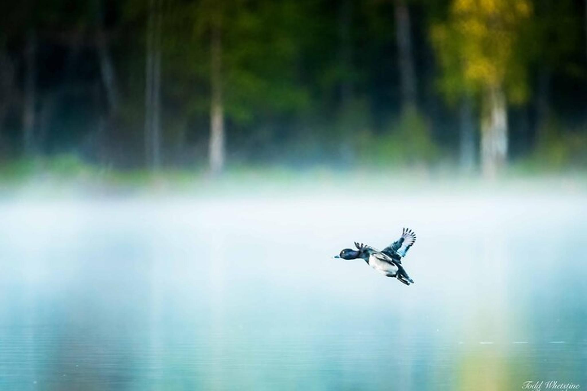 Fairbanks Photography Workshop