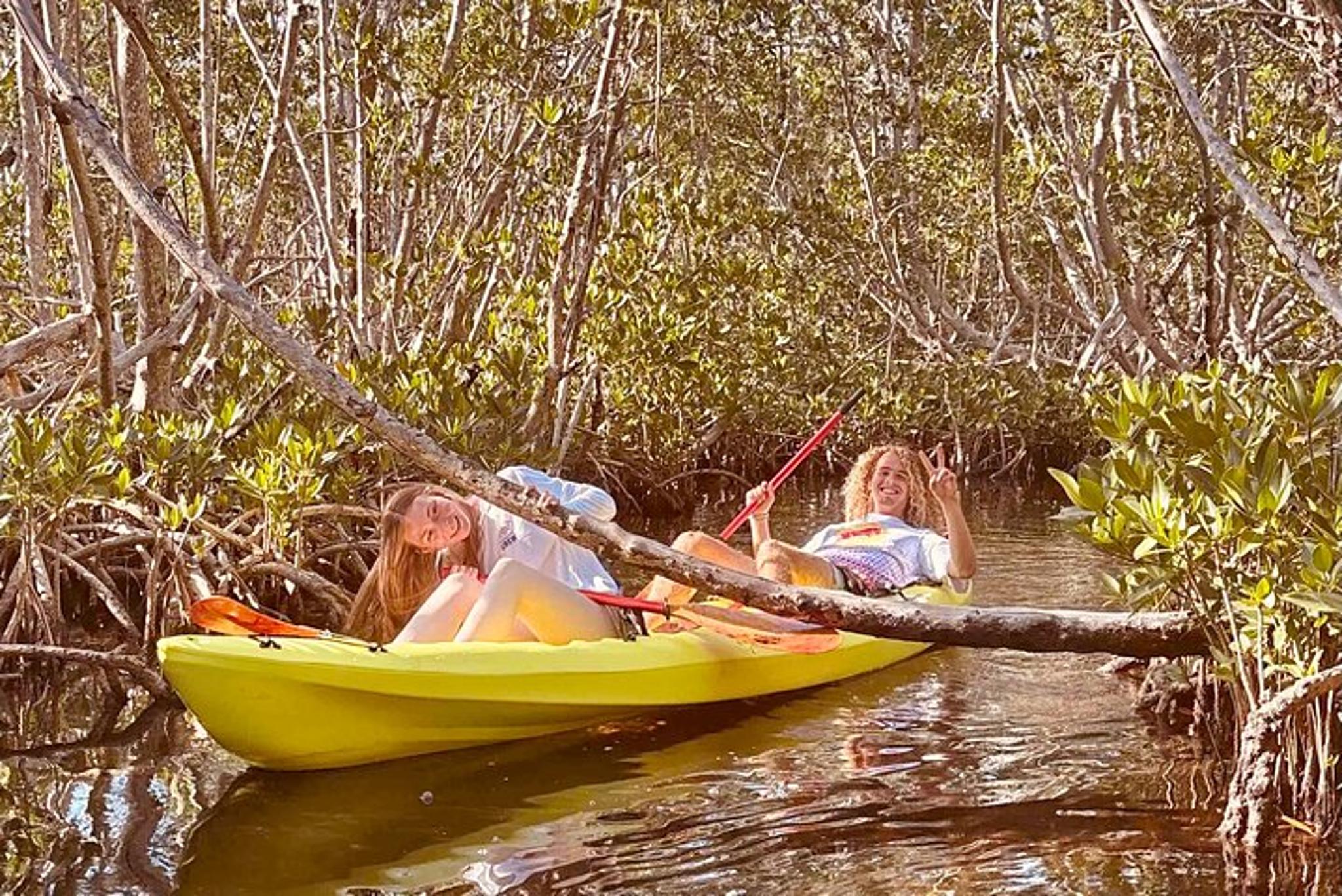 Key West Clear Kayak Rental Discover Mangroves 2 hr - Image 3