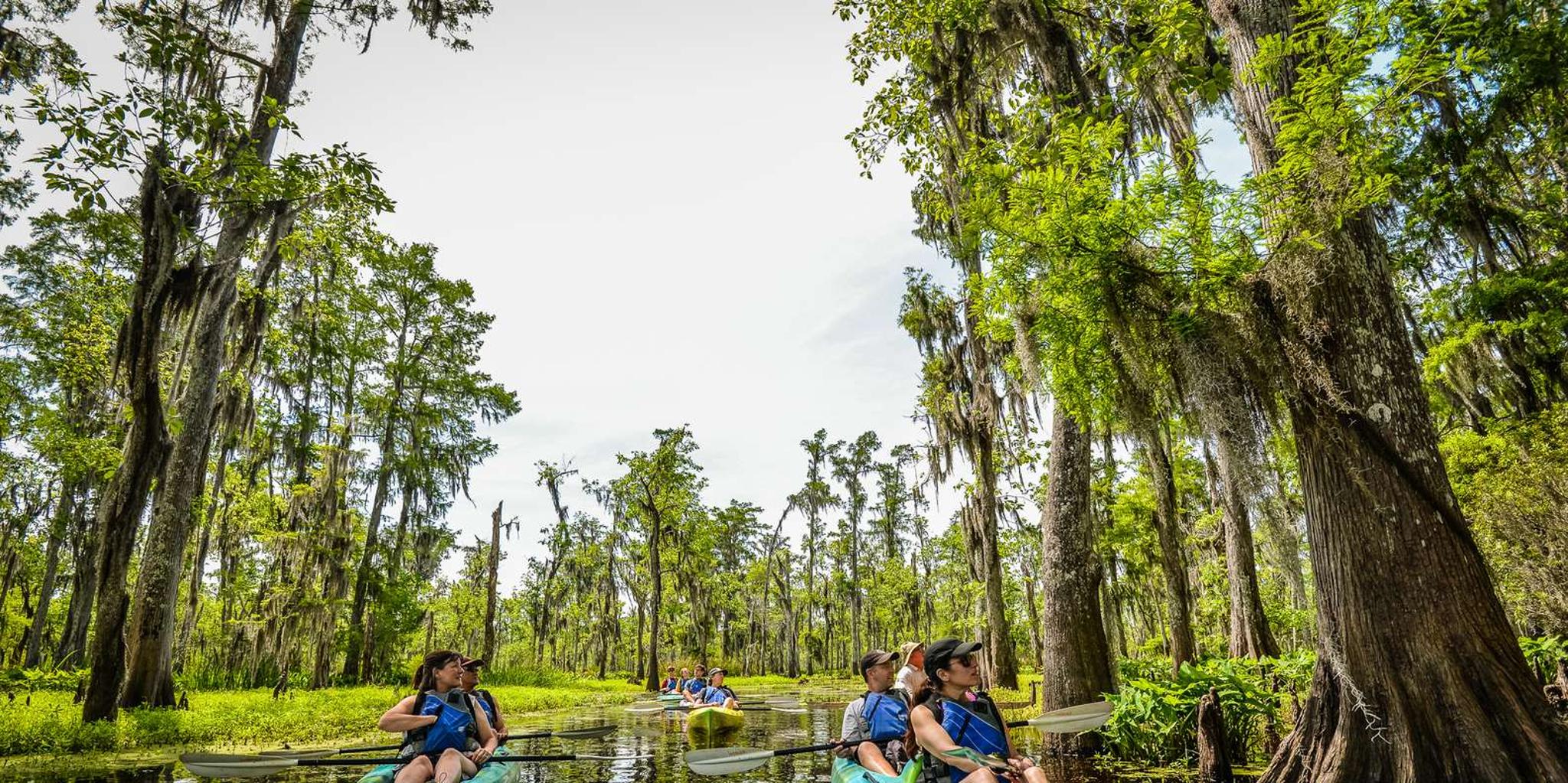 New Orleans Manchac Swamp Kayak Tour - Image 1