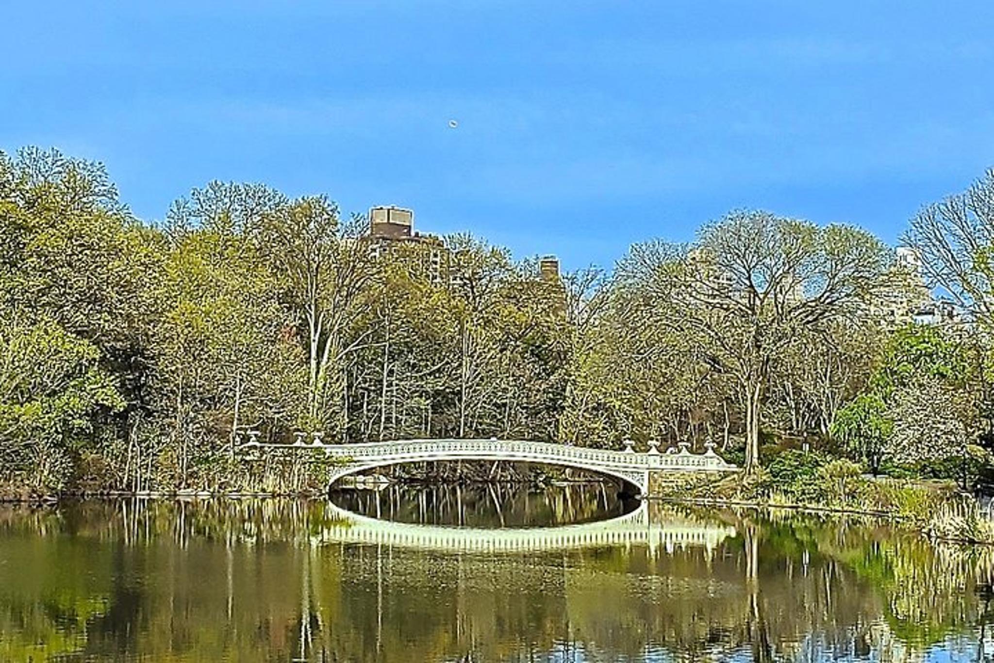 New York Central Park Private Guided Tour - Image 2