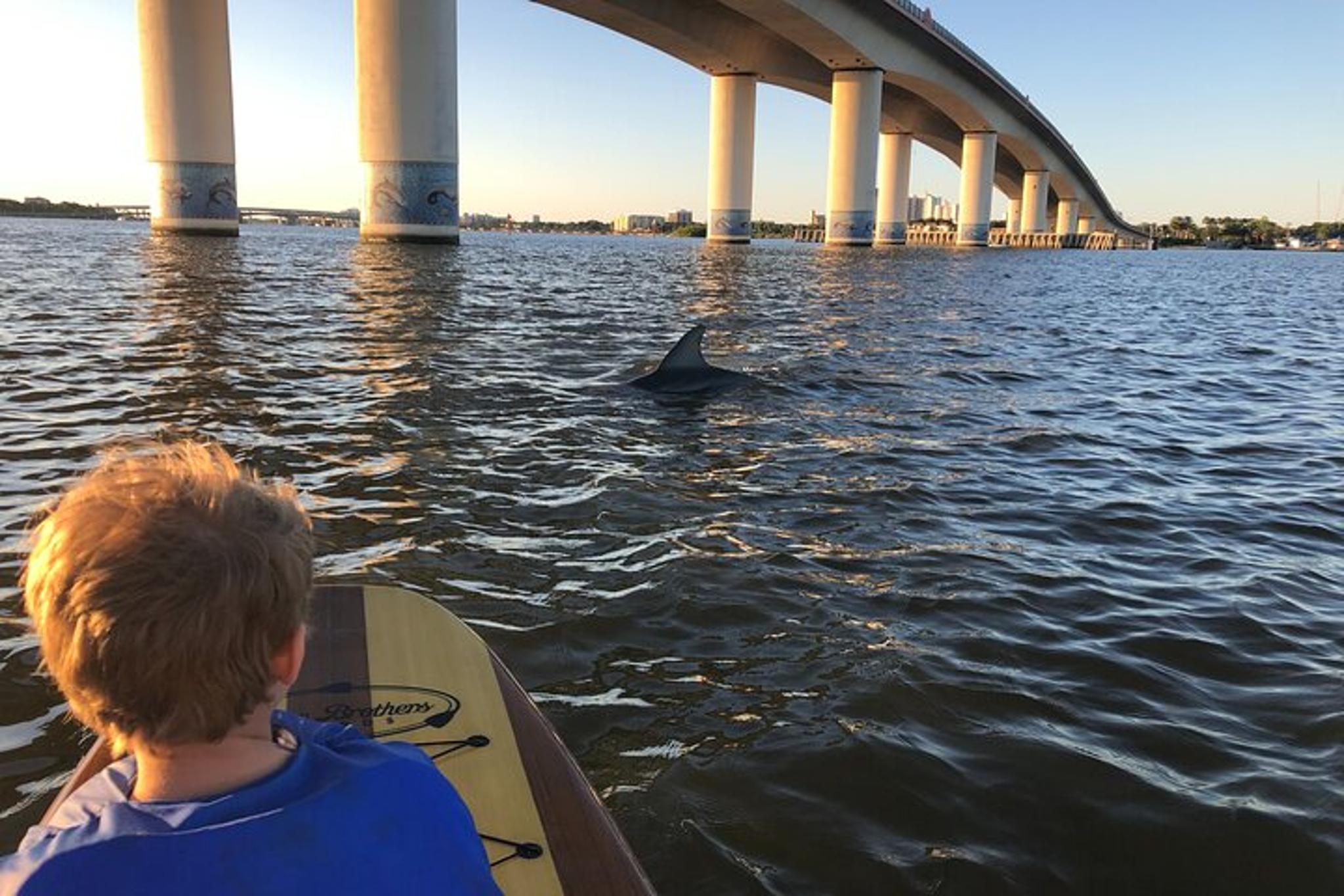 Daytona Paddle Board Rental