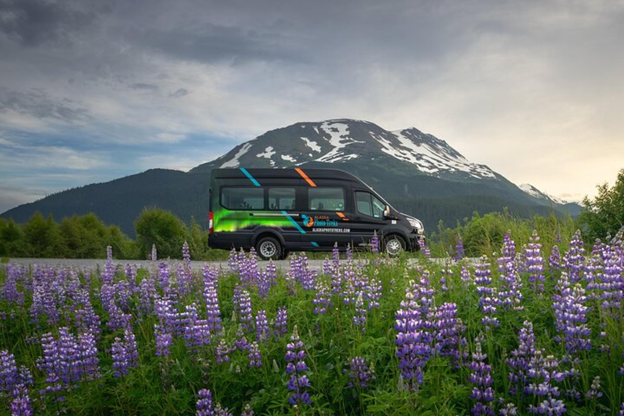 Seward to Anchorage Scenic Photo Tour - Image 1