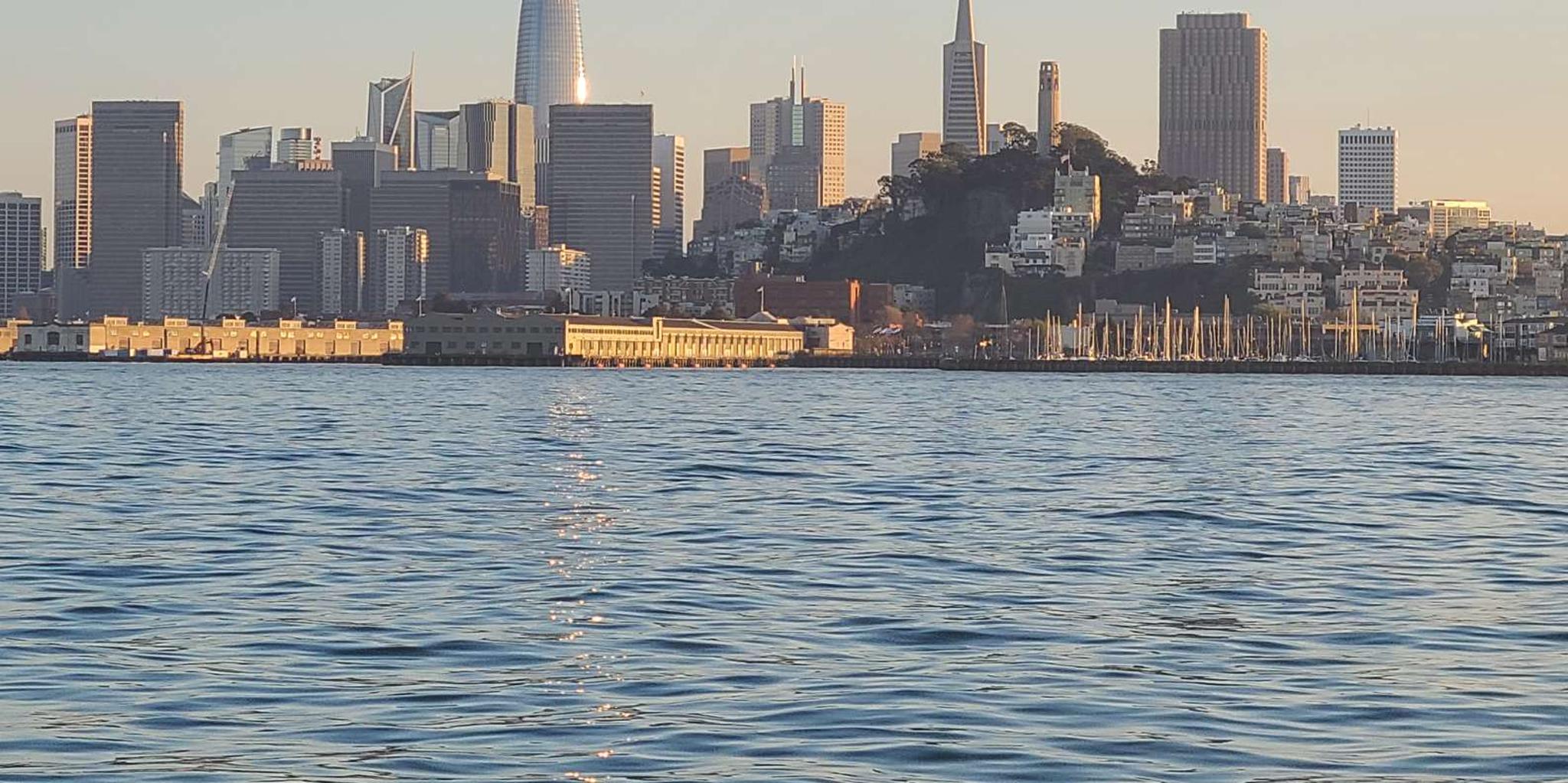 San Francisco Bay Brunch or Dinner Cruise - Image 5