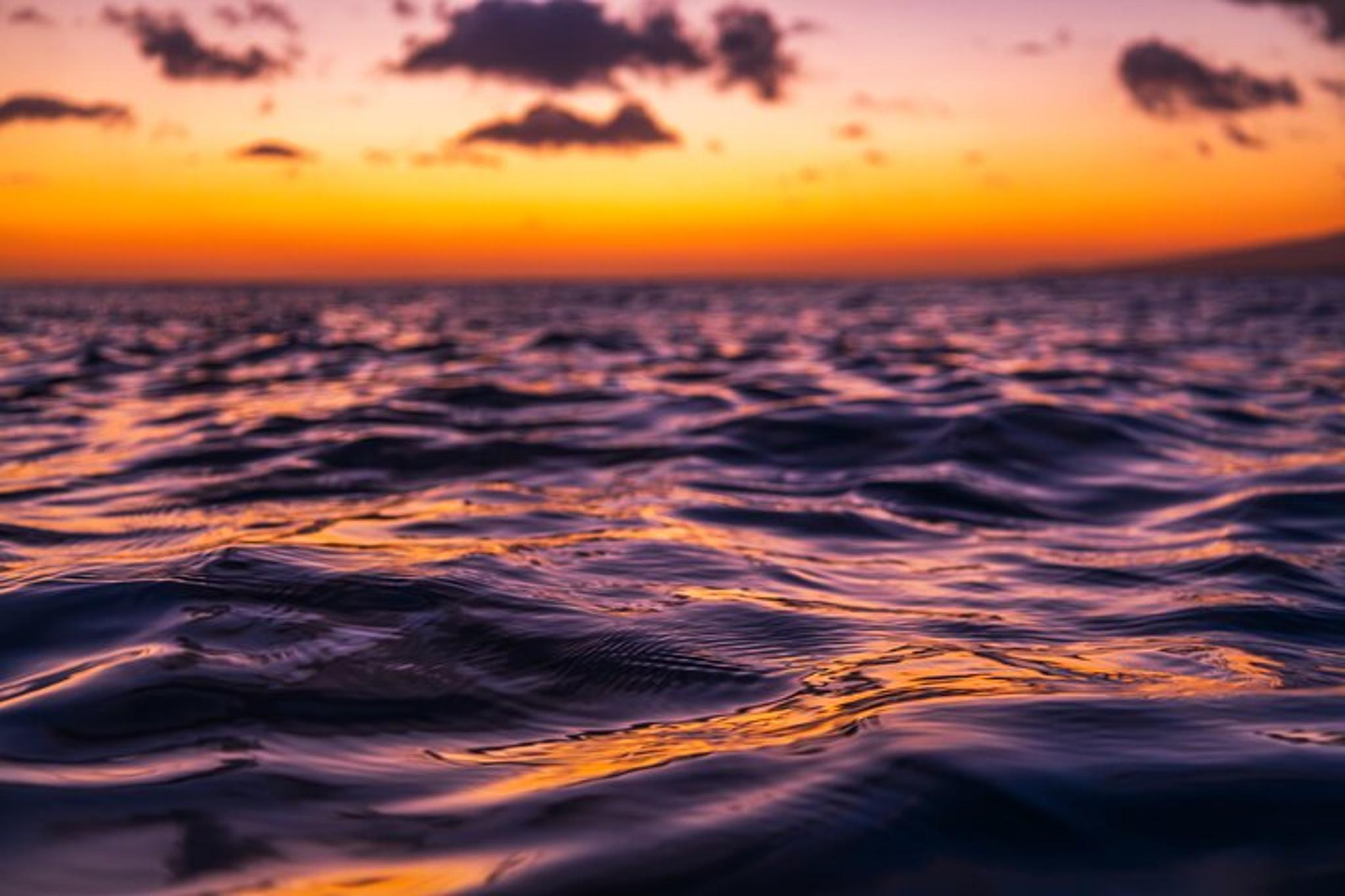 Honolulu Sunset Cruise on Moana Catamaran - Image 2