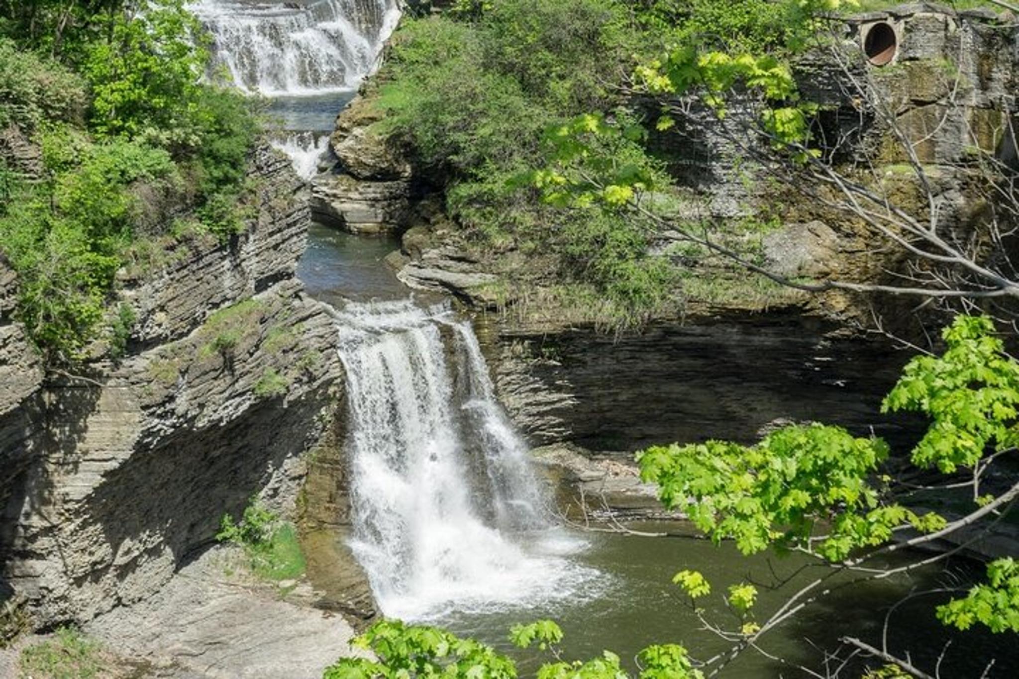 Ithaca Scavenger Hunt: Big Red Cornell Adventure - Image 6