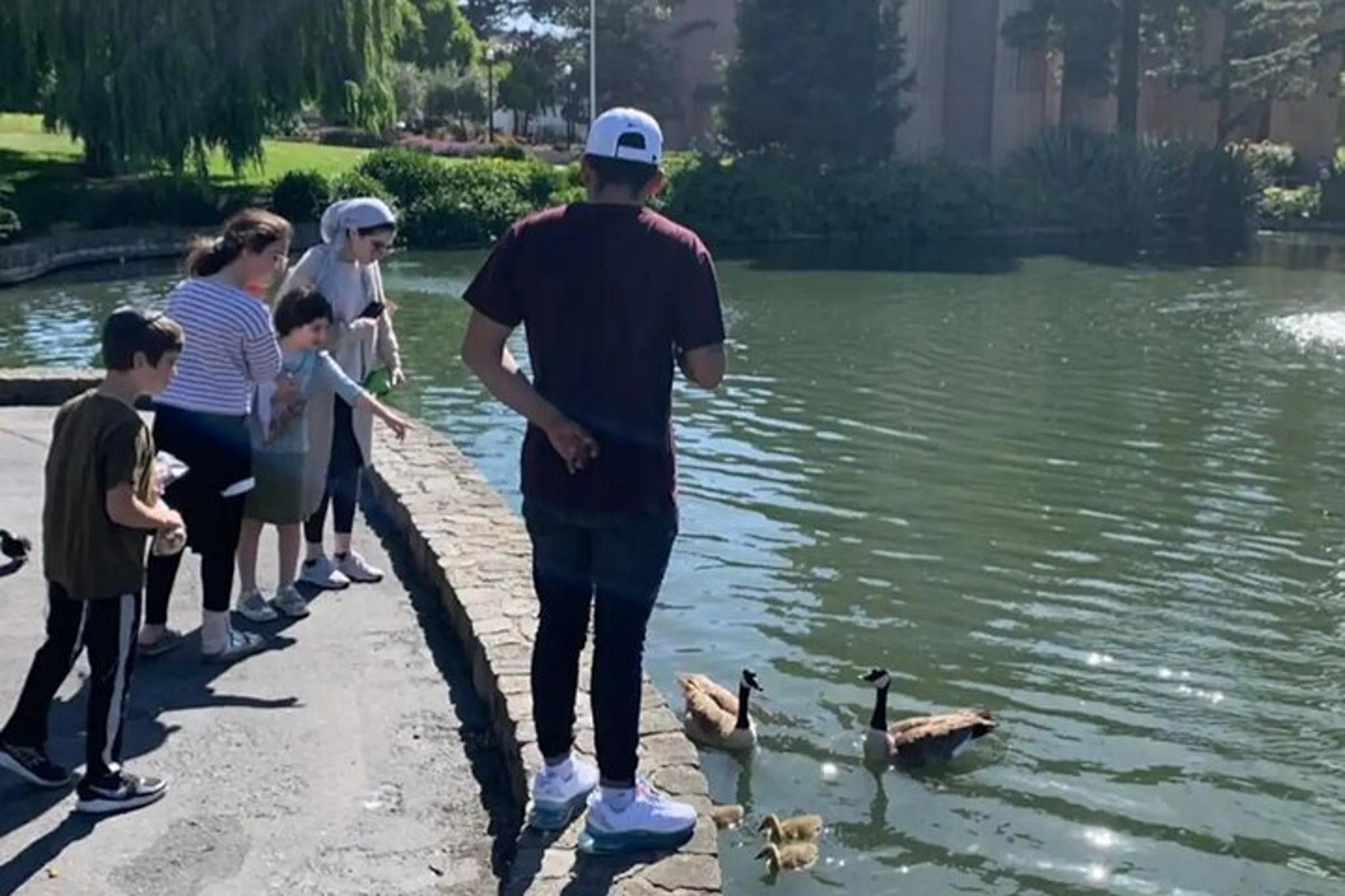 San Francisco Walking Tour of Billionaire Row and Palace of Fine Arts