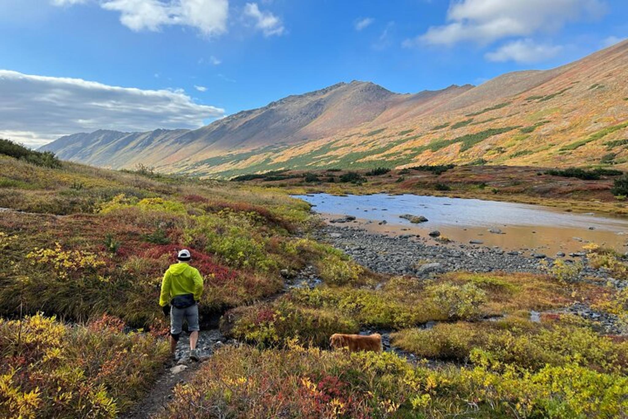 Anchorage Hiking Adventure - Image 2