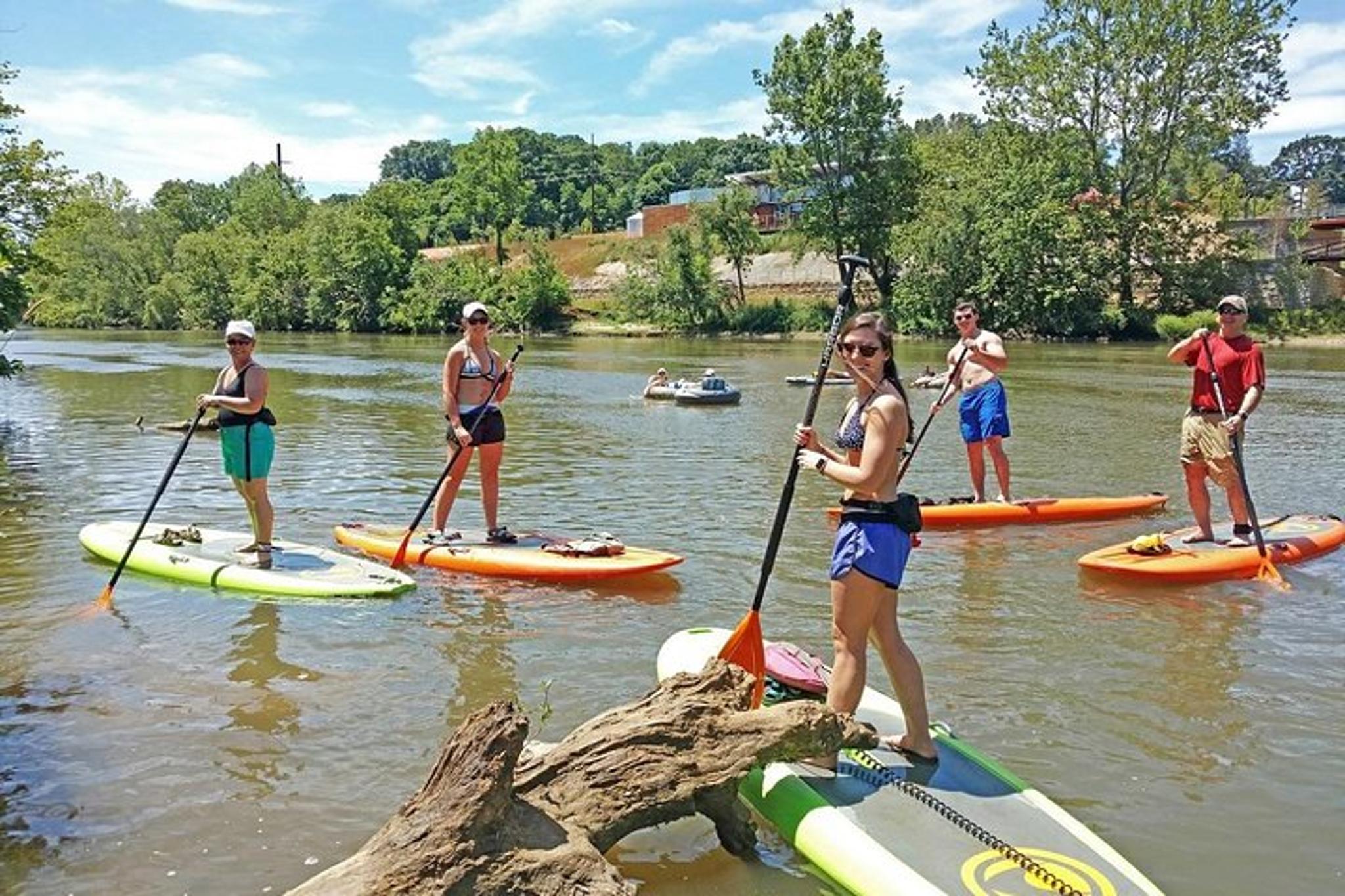 Asheville Paddleboard Tour in River Arts District - Image 4