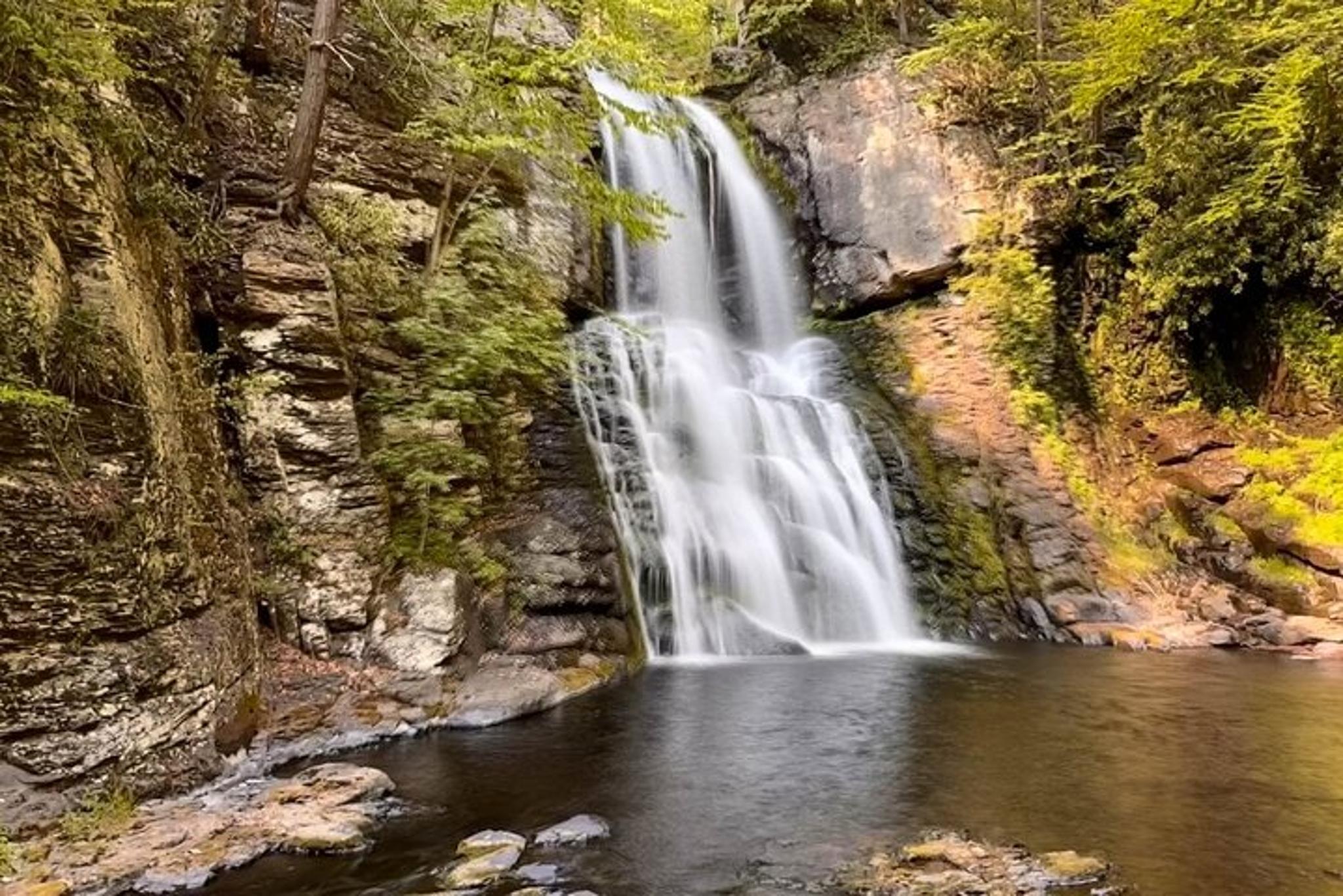 New York Stargazing and Bushkill Falls Tour - Image 5