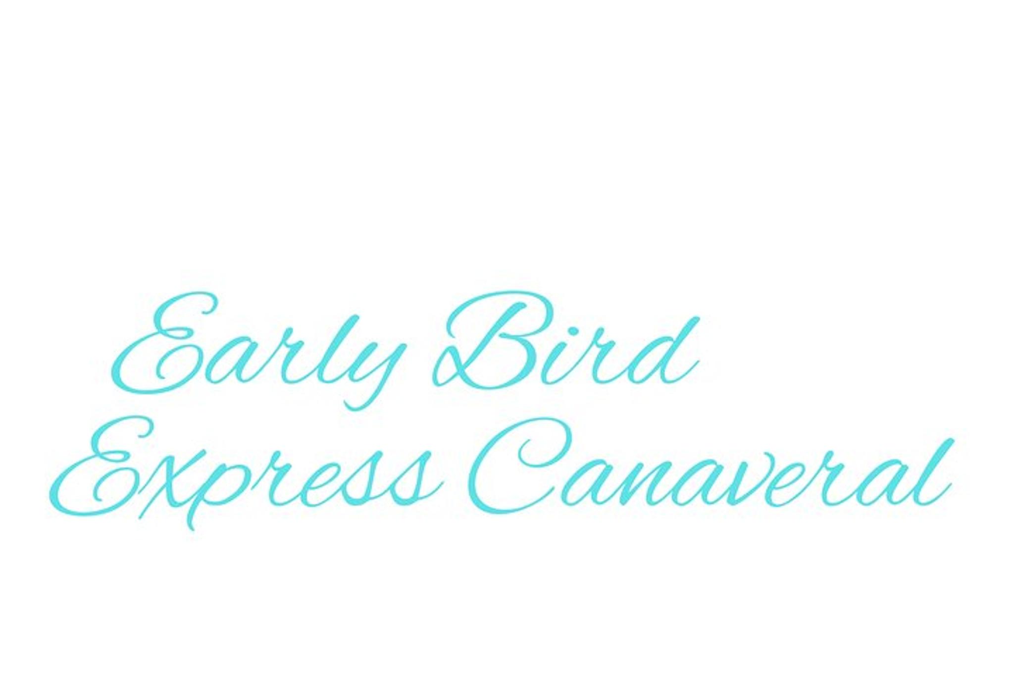Cape Canaveral Private Transfer to MCO Orlando Airport - Image 6