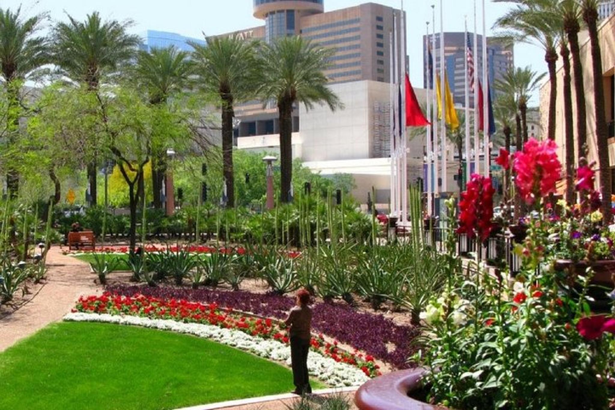 Phoenix and Scottsdale City Tour - Image 3