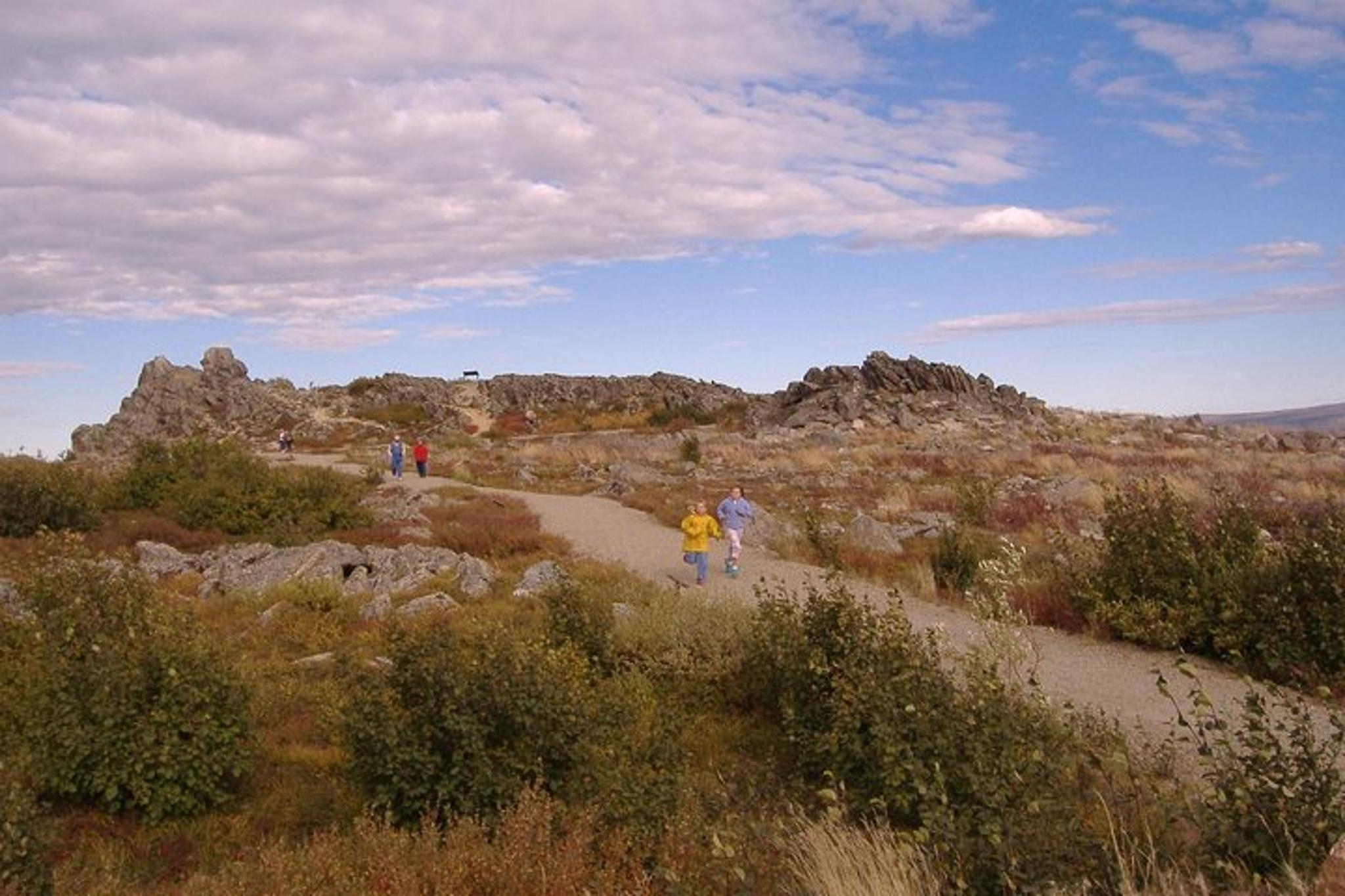 Fairbanks Arctic Circle Drive Adventure - Image 5