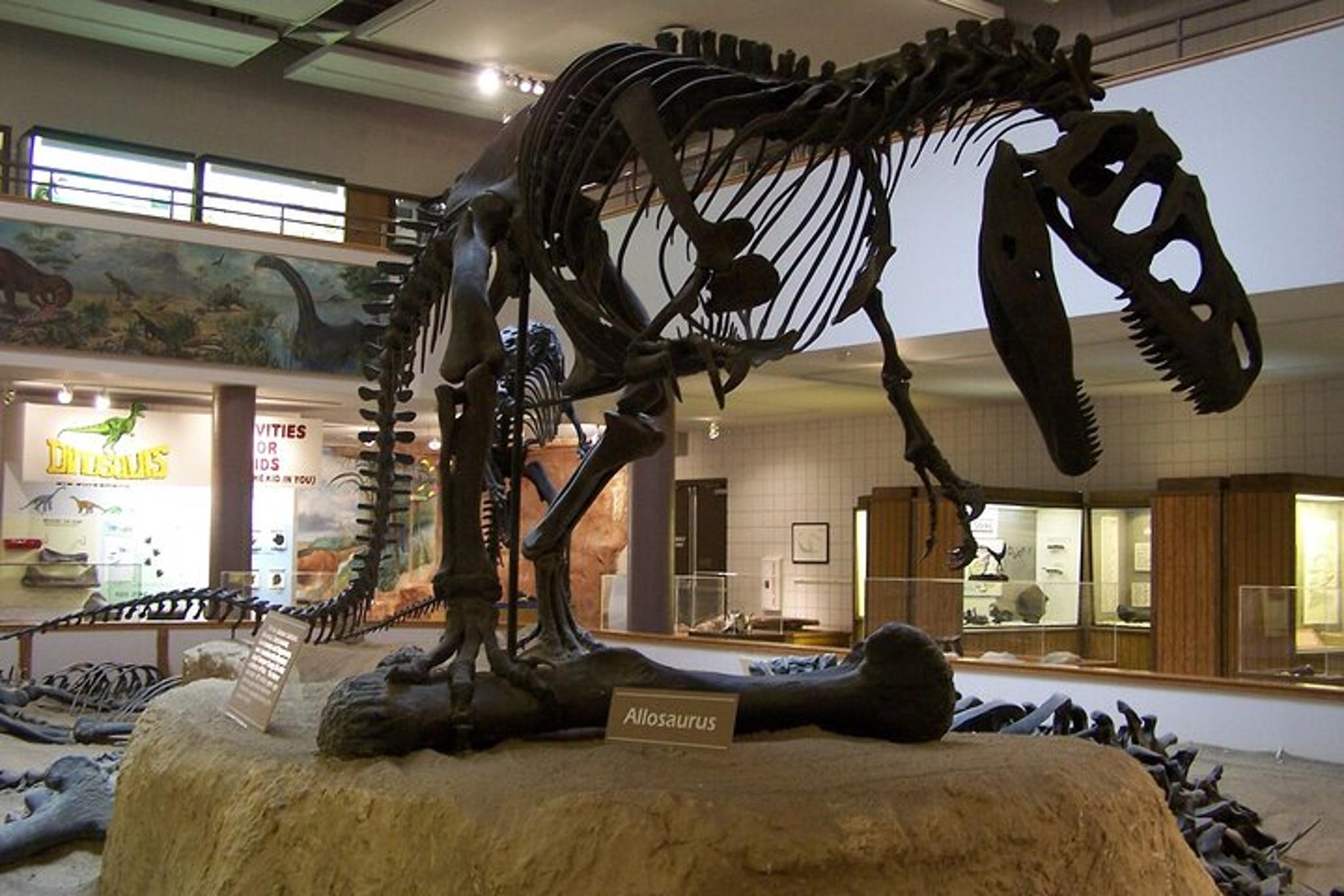 Utah National Parks Small Group 5-Day Tour - Image 4