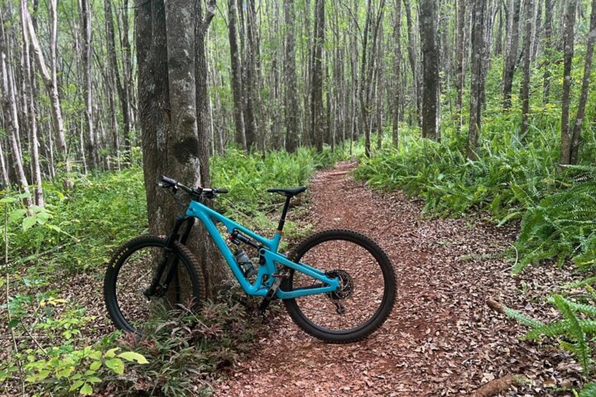 Maui Mountain Bike Tour on Haleakala Trails - Image 2