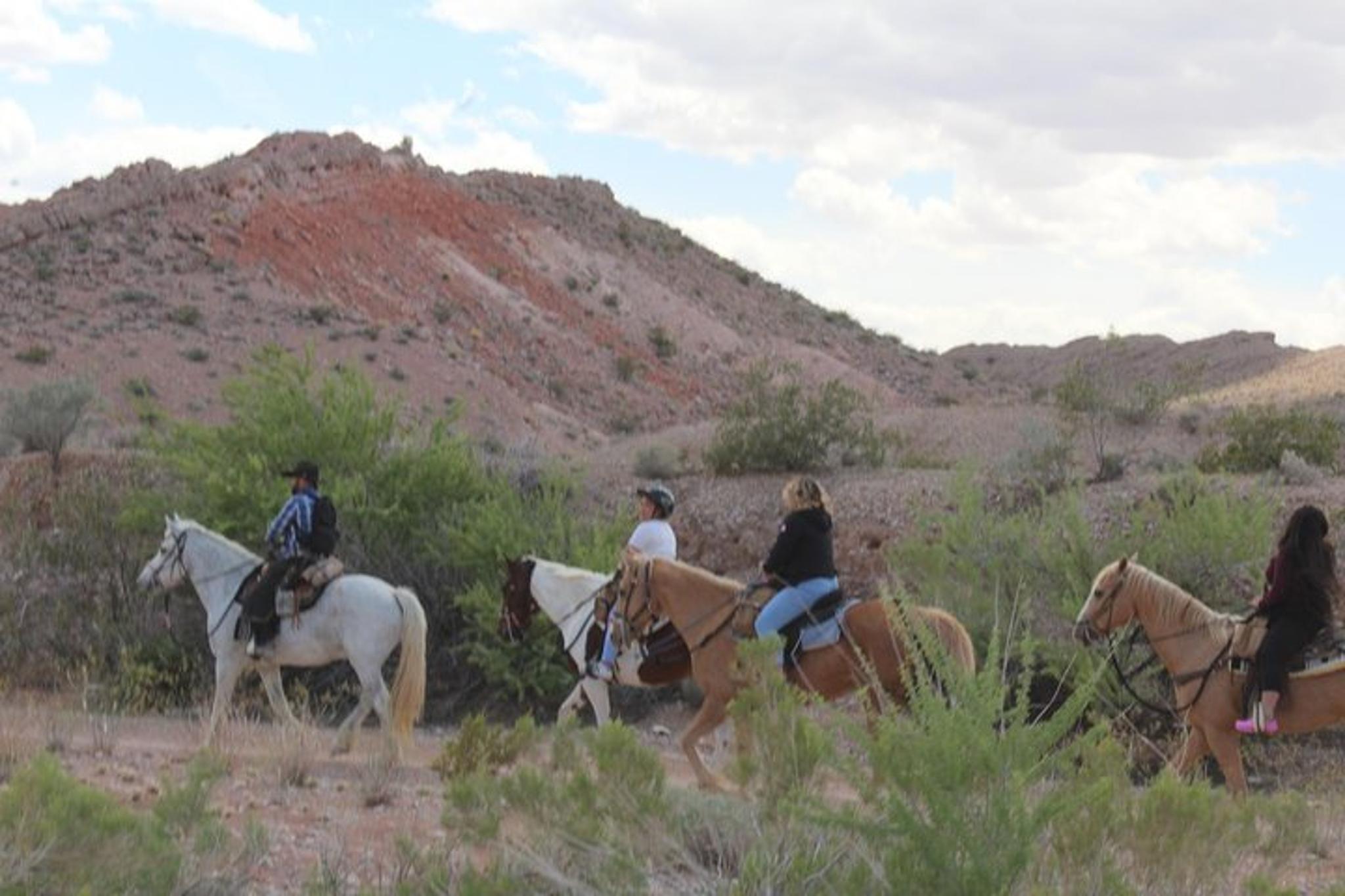 Las Vegas Horseback Ride 75 Min - Image 4