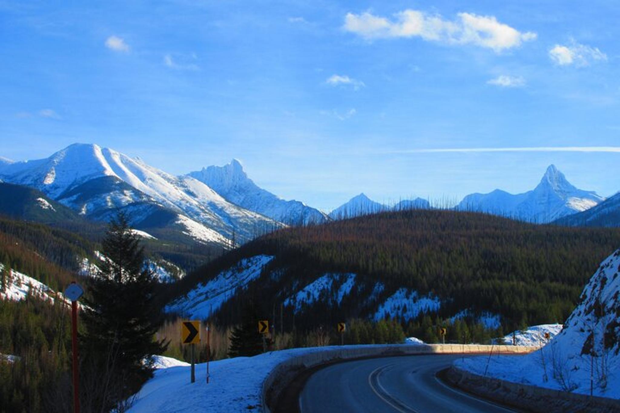 Glacier National Park Snowshoe and Driving Tour - Image 4