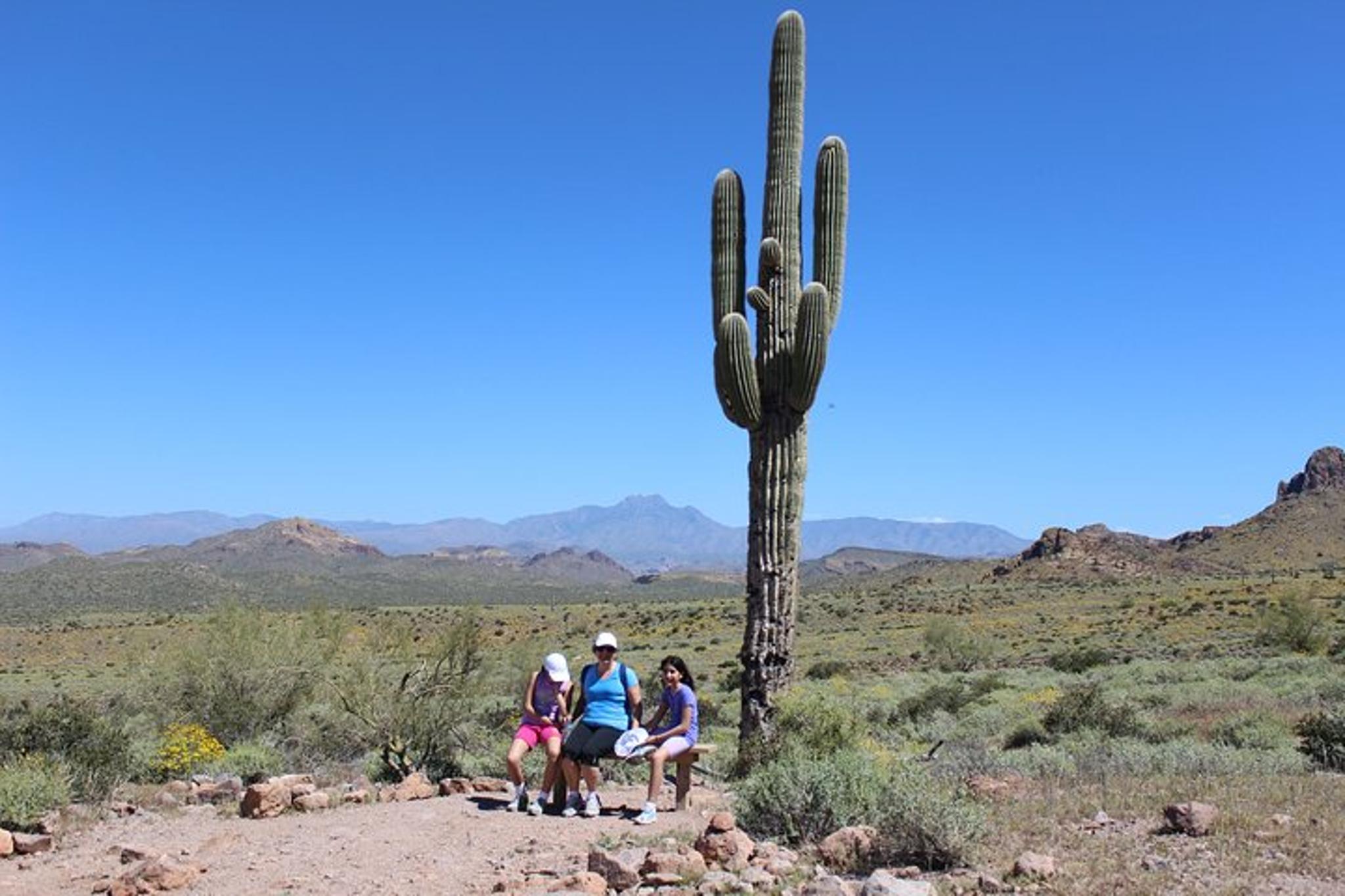 Phoenix Wilderness Hiking Tour - Image 4