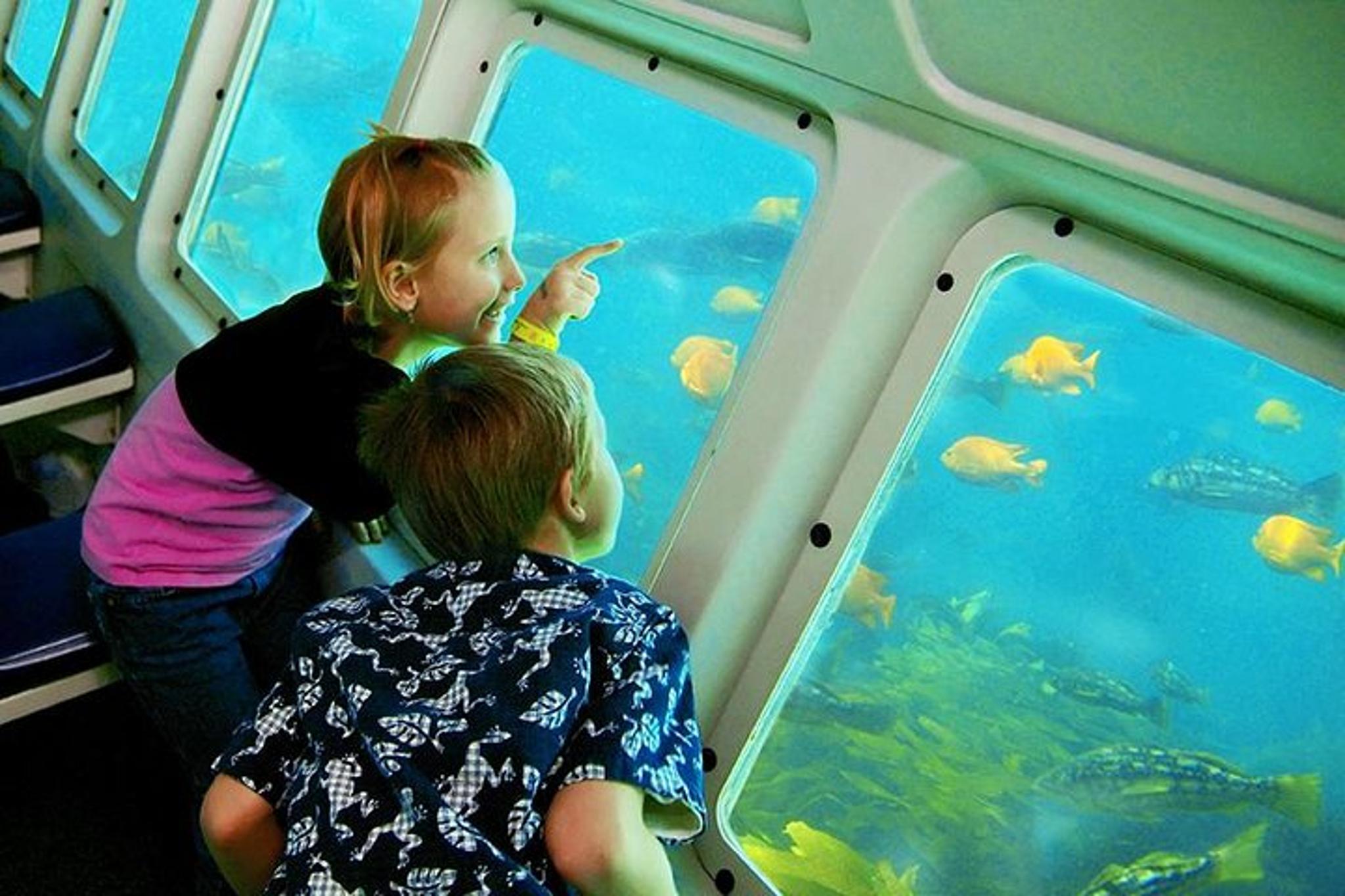 Catalina Island Undersea Adventure Day Trip