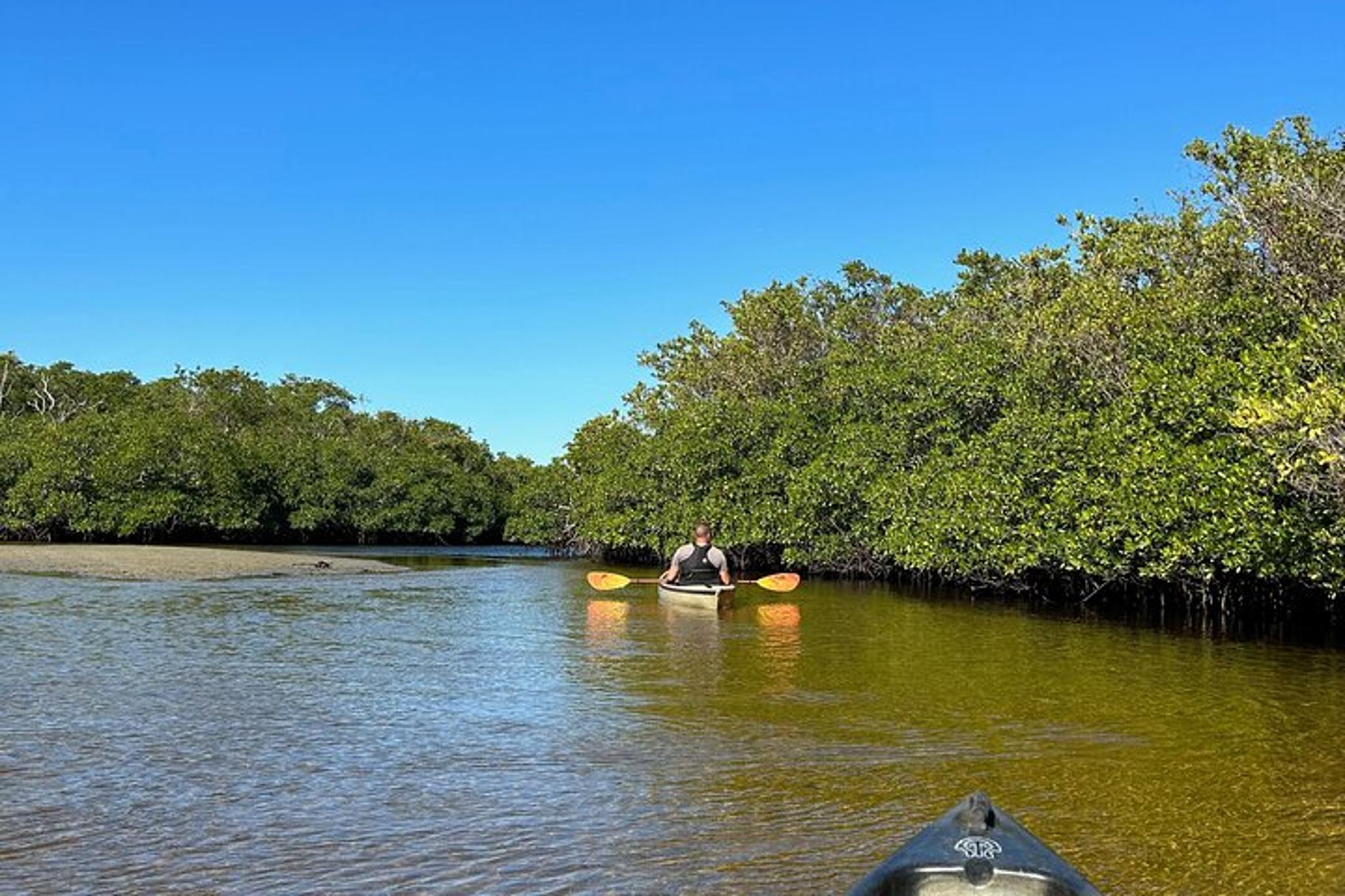 Marco Island Kayak Tour with Manatees and Mangroves - Image 3