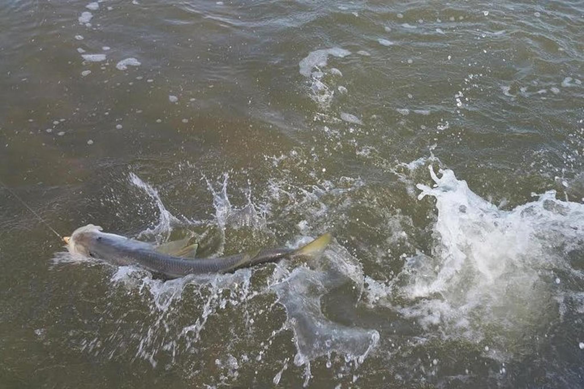 Holiday Inshore Fishing Charter - Image 2